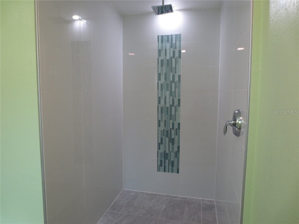 1676 Caledonia Drive Palm Harbor FL 34684 TB8414525 image22