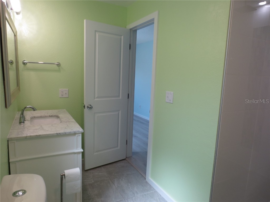 1676 Caledonia Drive Palm Harbor FL 34684 TB8414525 image23