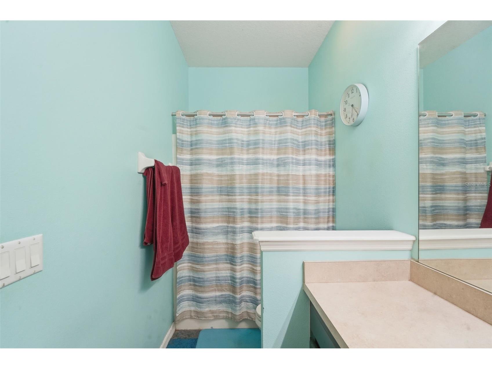 1676 Canoe Creek Falls Drive Orlando FL 32824 O6407938 image37
