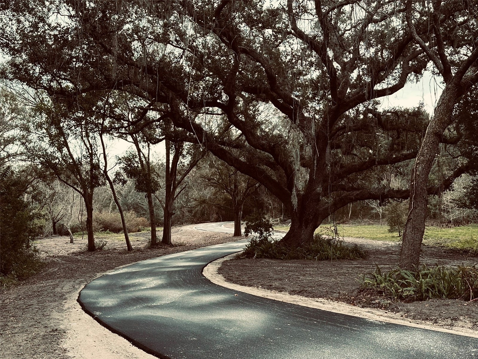 1676 Hermosa Drive Palm Harbor FL 34683 TB8402481 image1