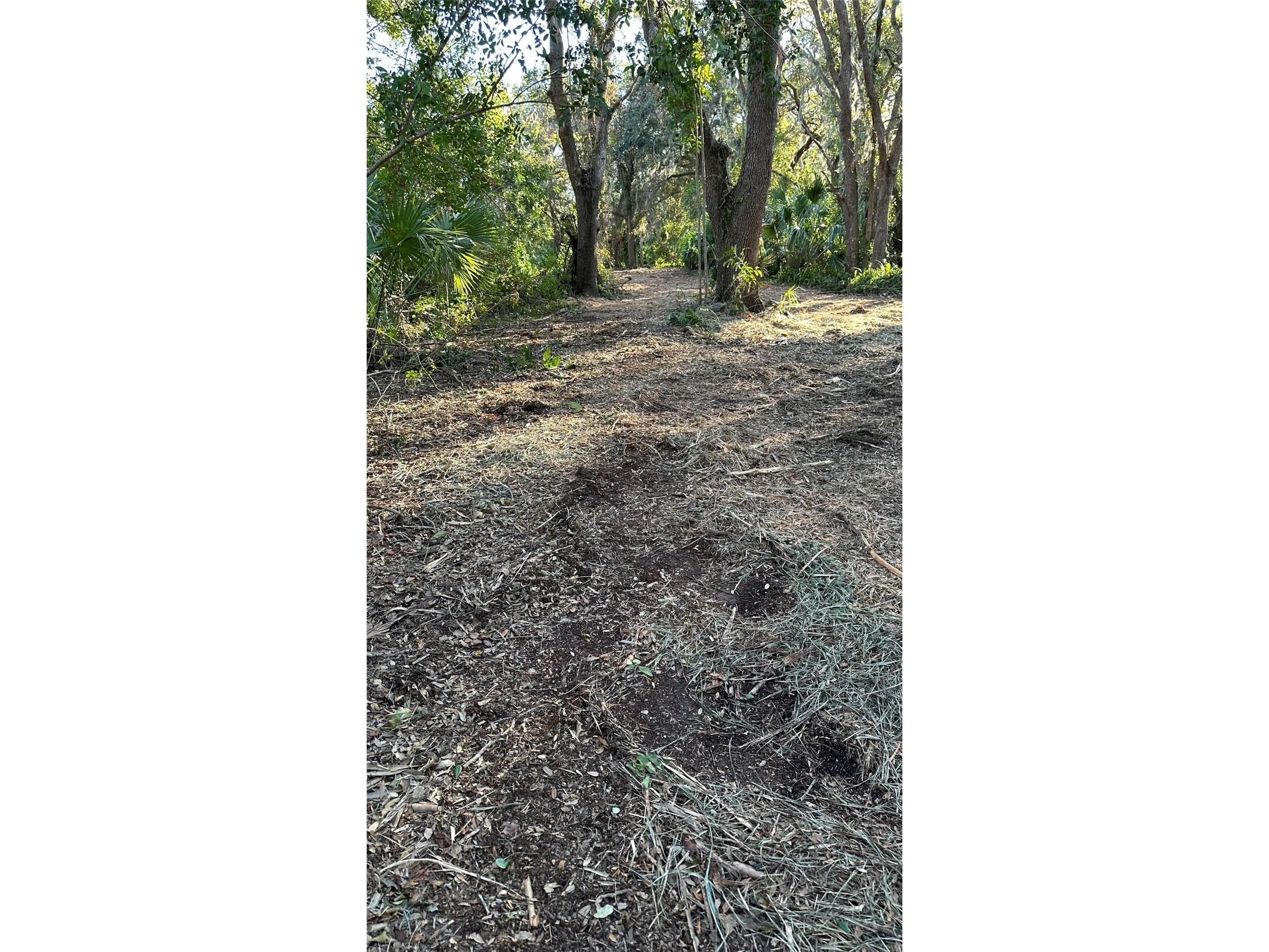 1676 Hermosa Drive Palm Harbor FL 34683 TB8402481 image11