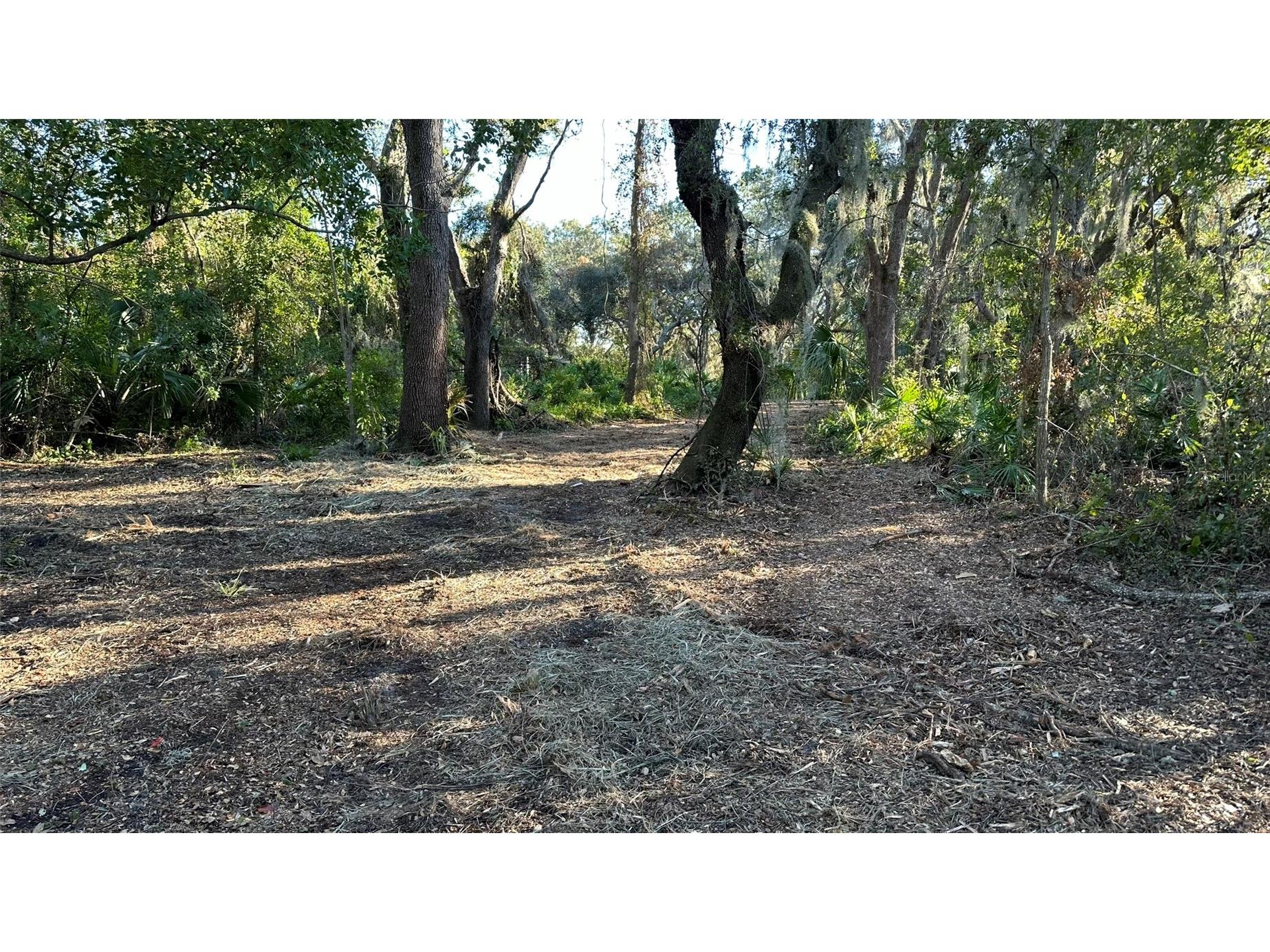 1676 Hermosa Drive Palm Harbor FL 34683 TB8402481 image12