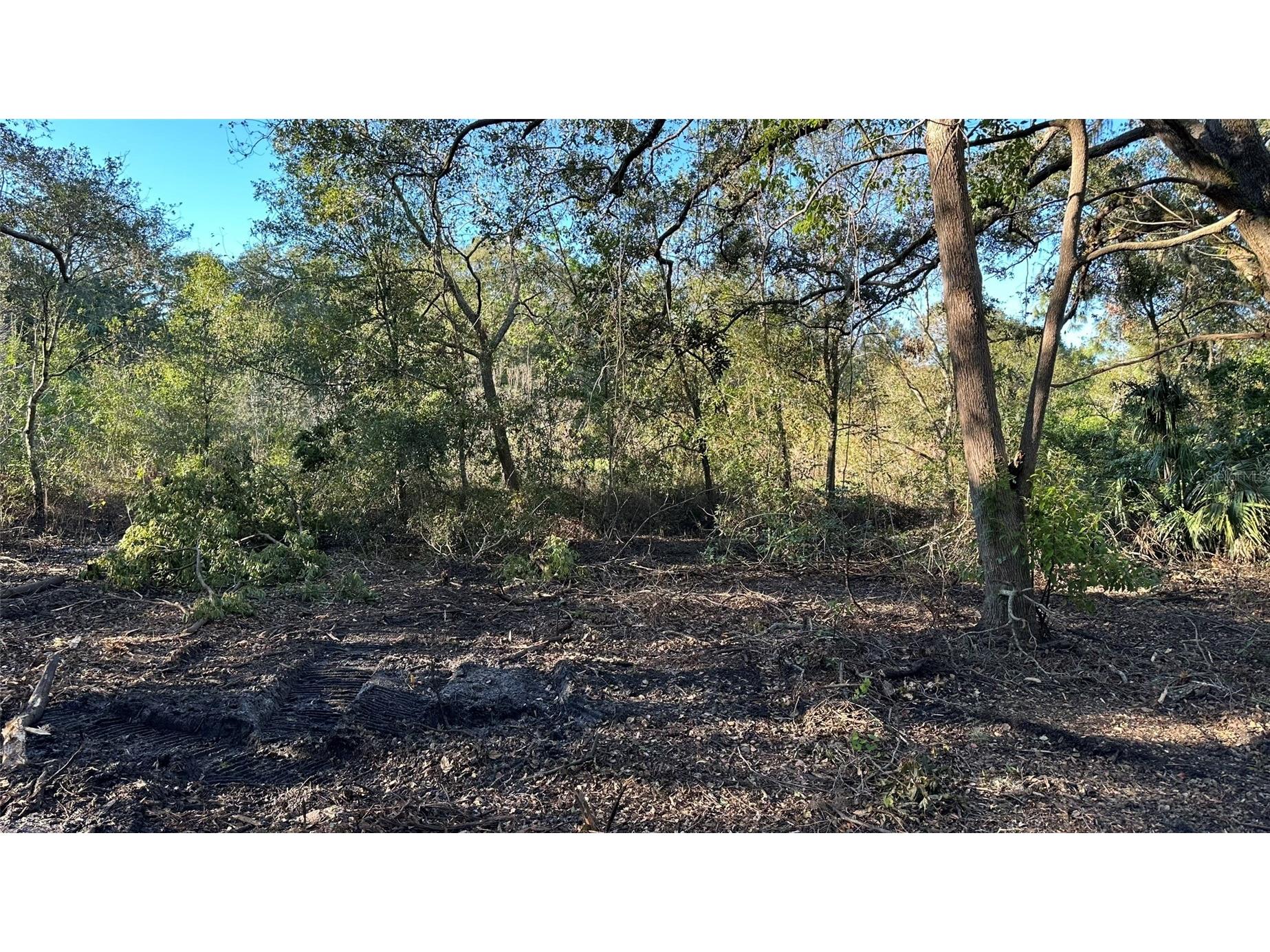 1676 Hermosa Drive Palm Harbor FL 34683 TB8402481 image13