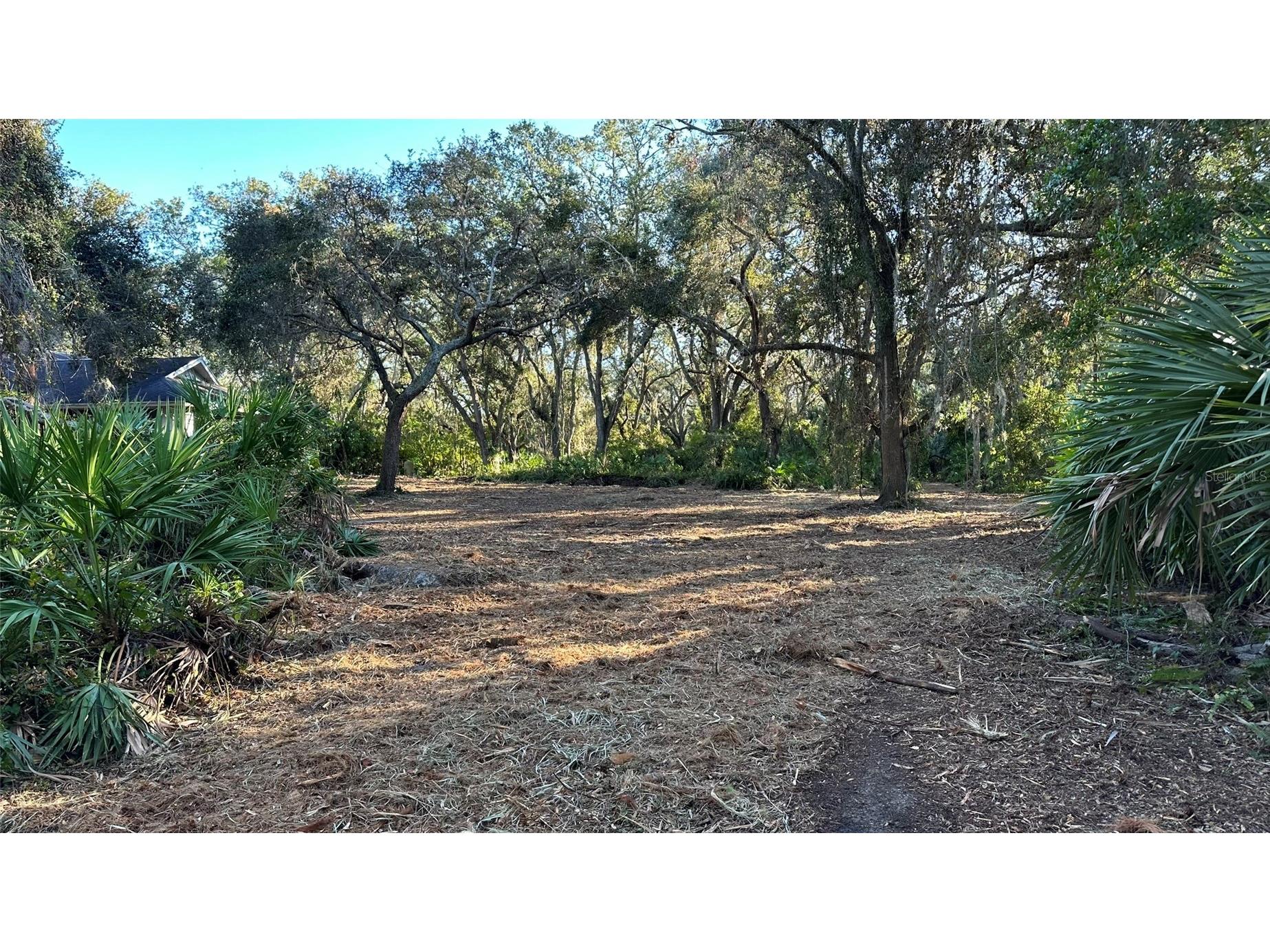 1676 Hermosa Drive Palm Harbor FL 34683 TB8402481 image14