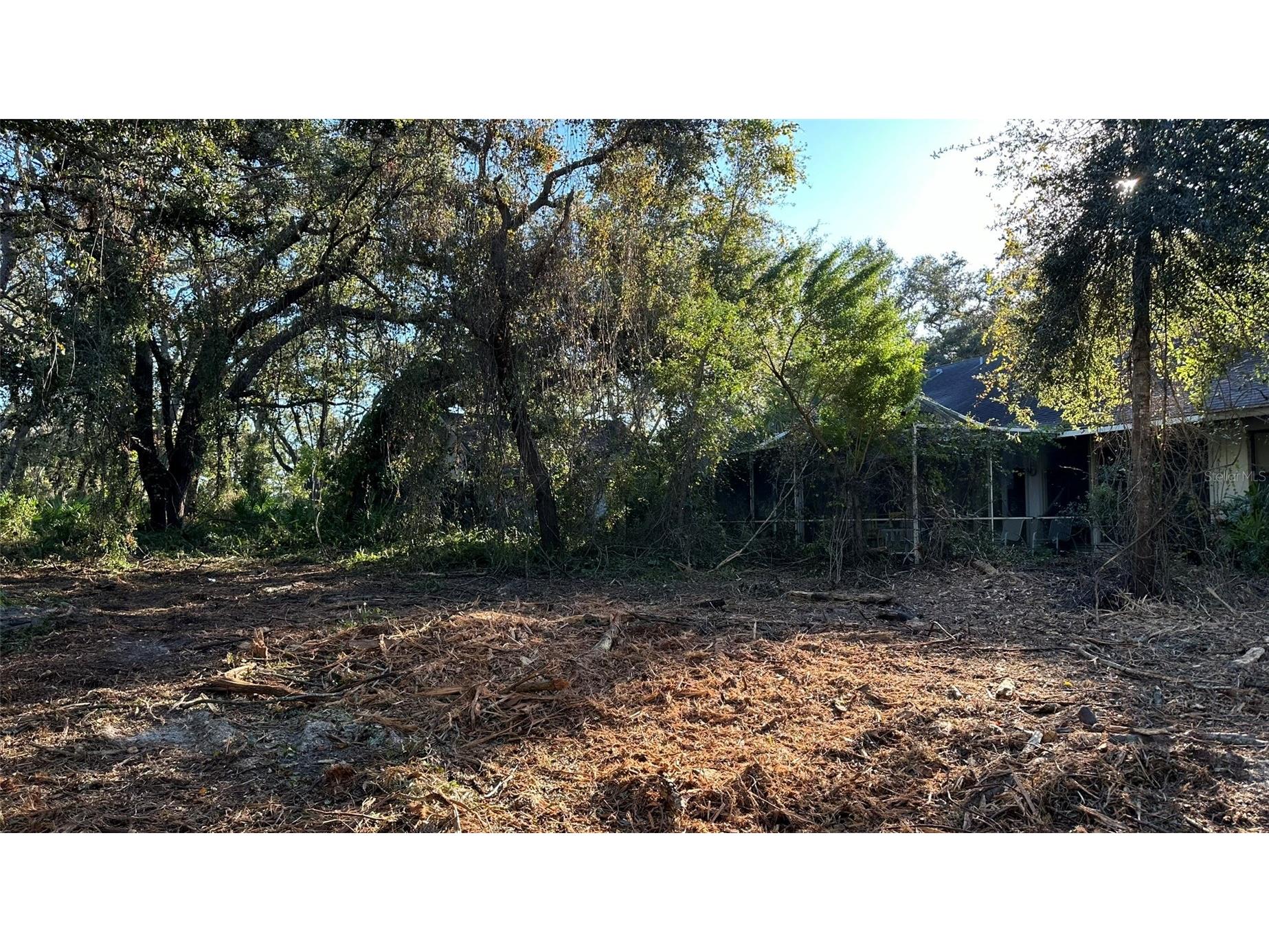 1676 Hermosa Drive Palm Harbor FL 34683 TB8402481 image15