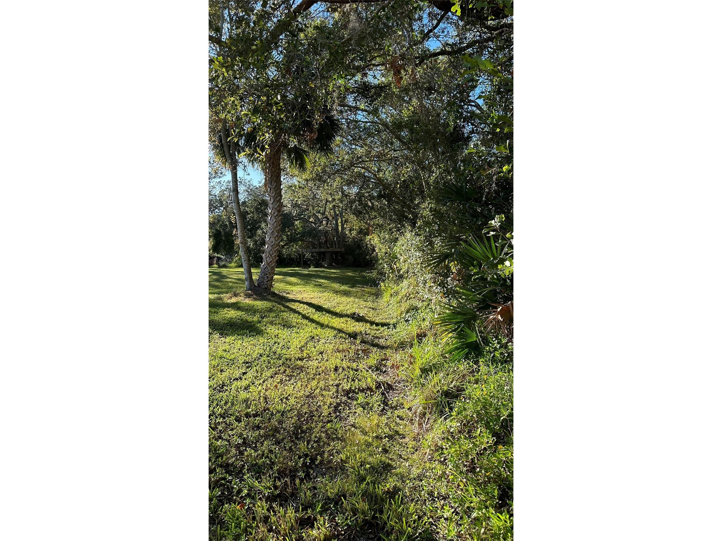 1676 Hermosa Drive Palm Harbor FL 34683 TB8402481 image17