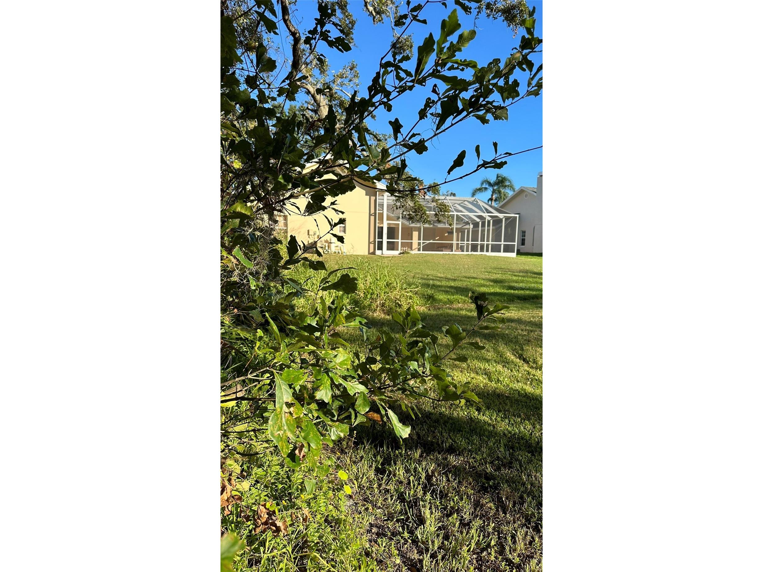 1676 Hermosa Drive Palm Harbor FL 34683 TB8402481 image18