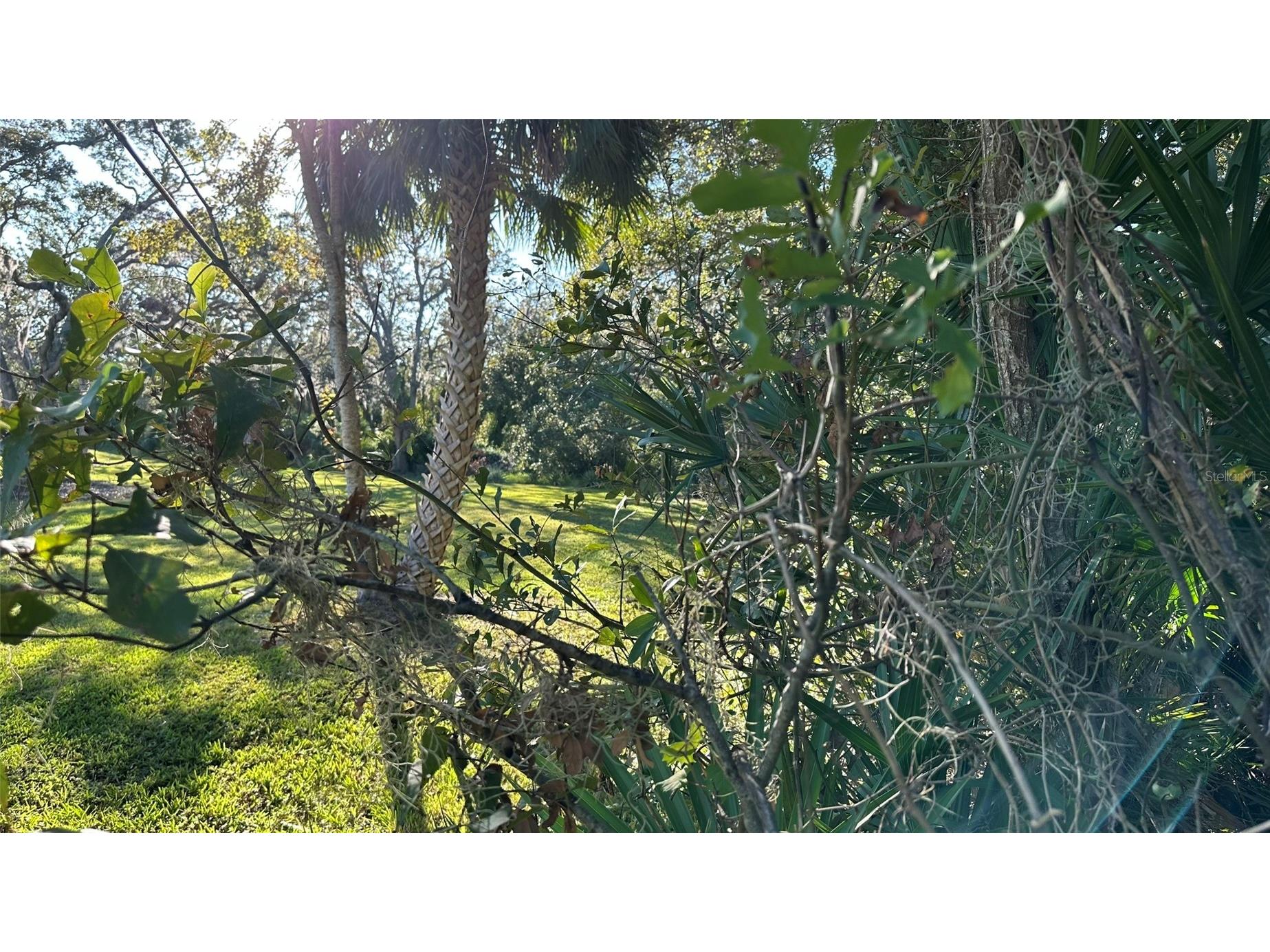 1676 Hermosa Drive Palm Harbor FL 34683 TB8402481 image19