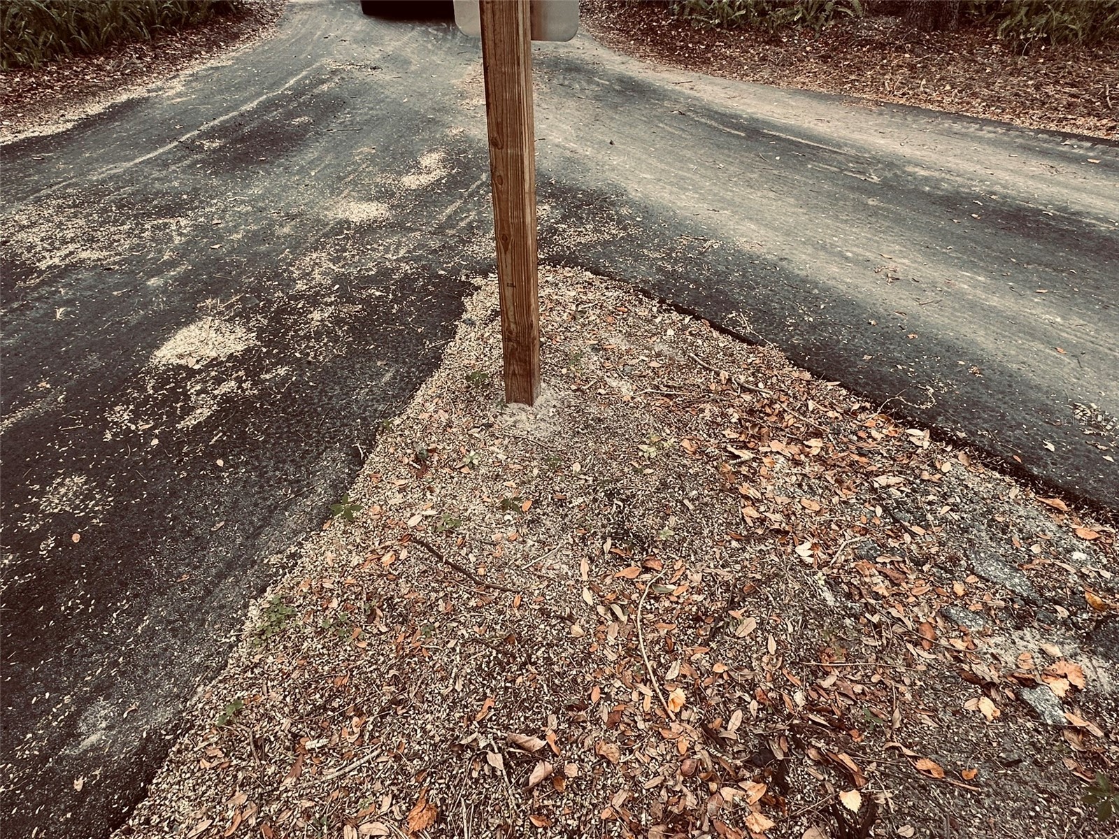 1676 Hermosa Drive Palm Harbor FL 34683 TB8402481 image2