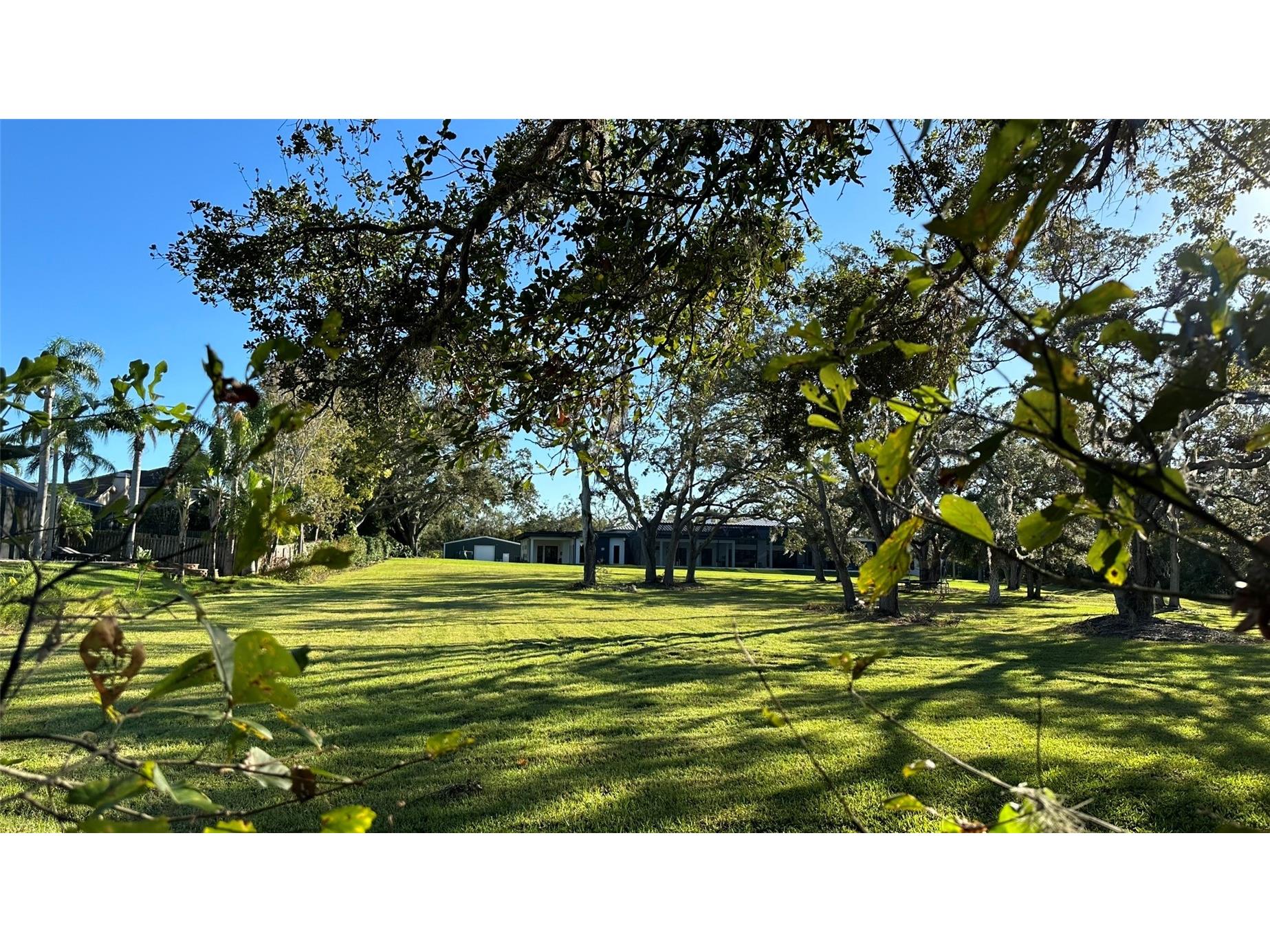 1676 Hermosa Drive Palm Harbor FL 34683 TB8402481 image20