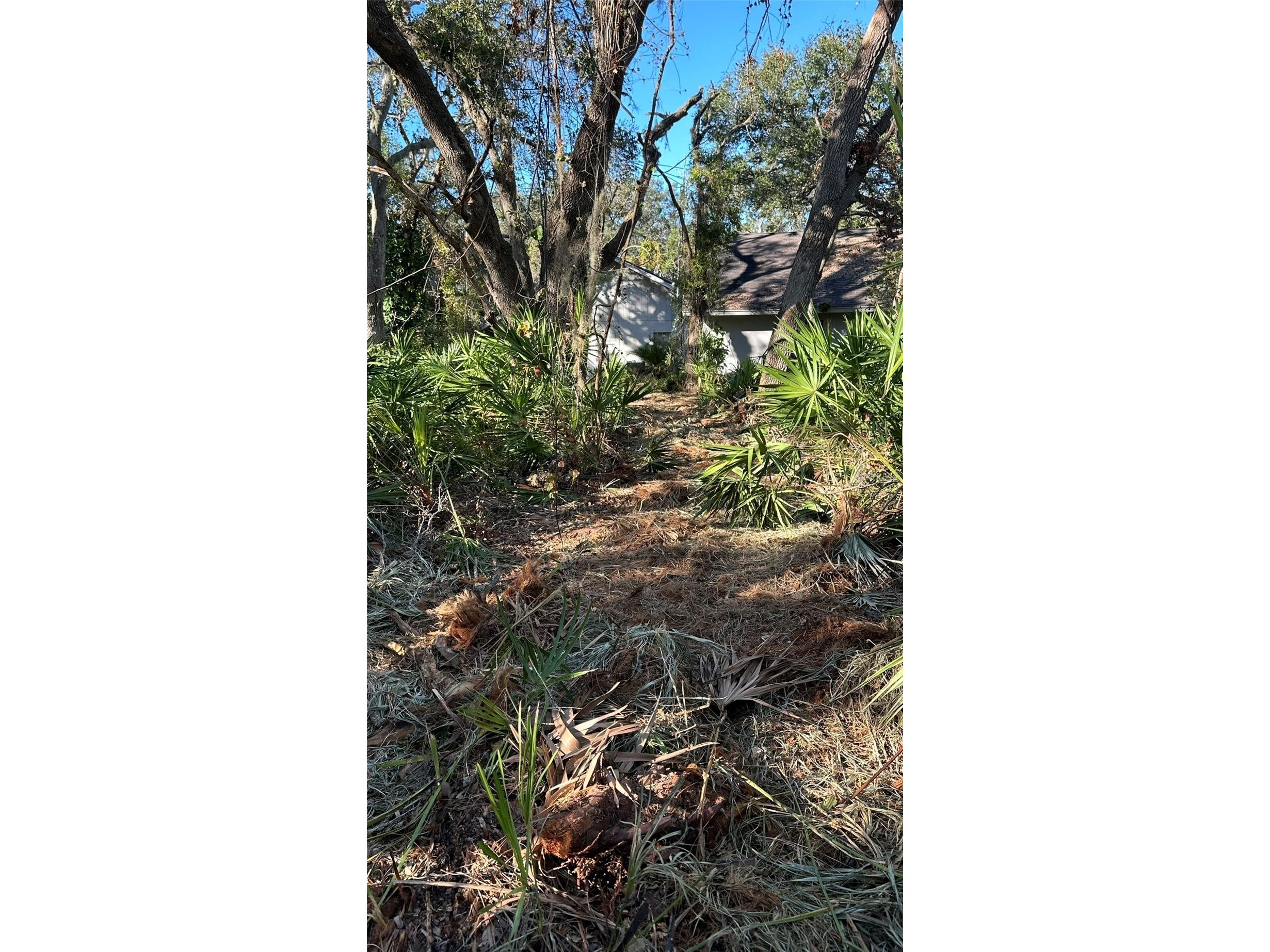 1676 Hermosa Drive Palm Harbor FL 34683 TB8402481 image24