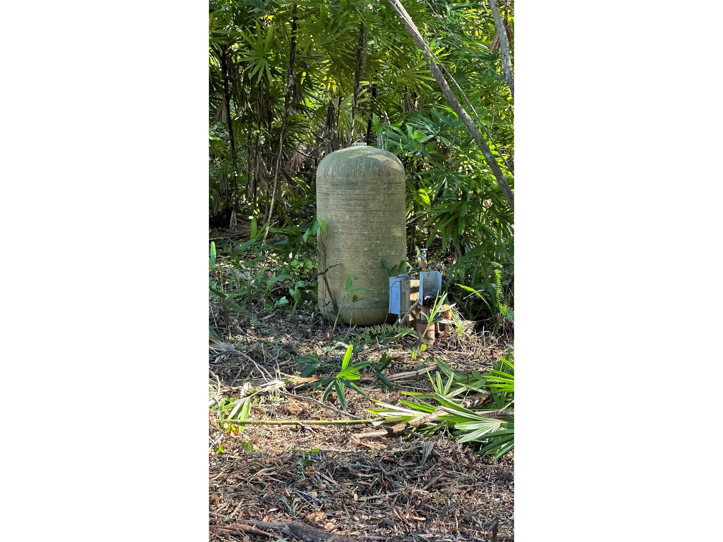 1676 Hermosa Drive Palm Harbor FL 34683 TB8402481 image25