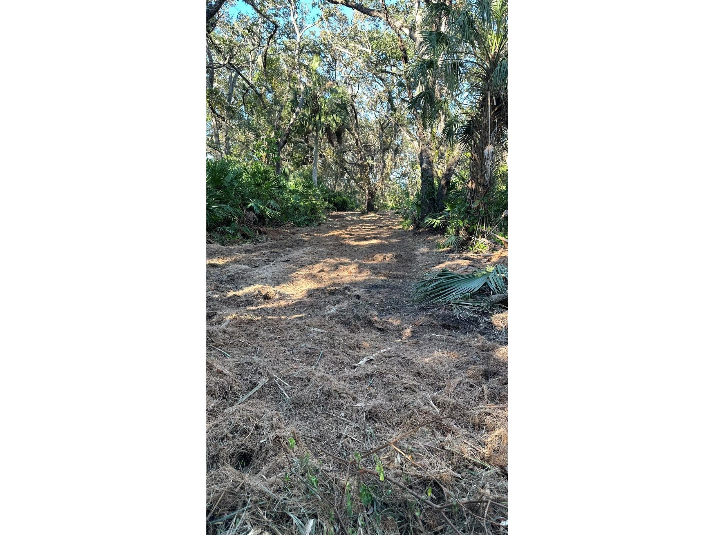 1676 Hermosa Drive Palm Harbor FL 34683 TB8402481 image26