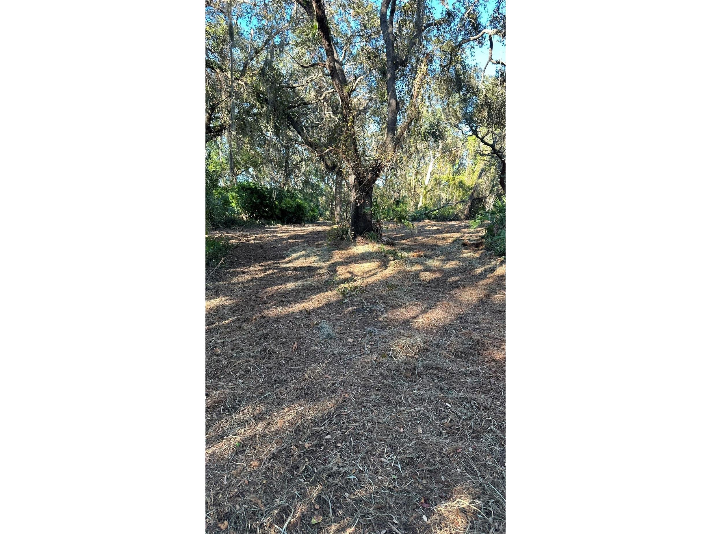 1676 Hermosa Drive Palm Harbor FL 34683 TB8402481 image27