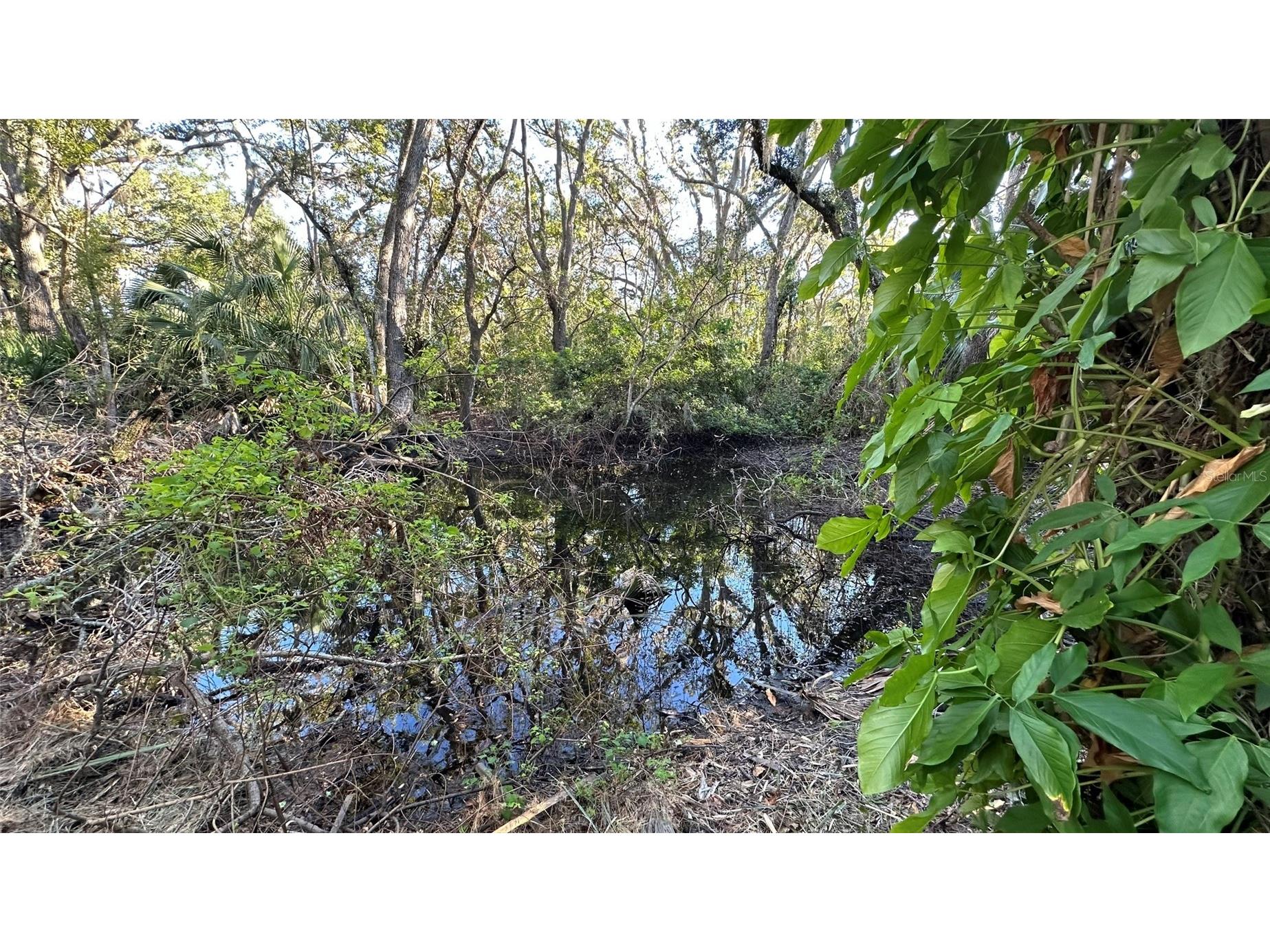 1676 Hermosa Drive Palm Harbor FL 34683 TB8402481 image28