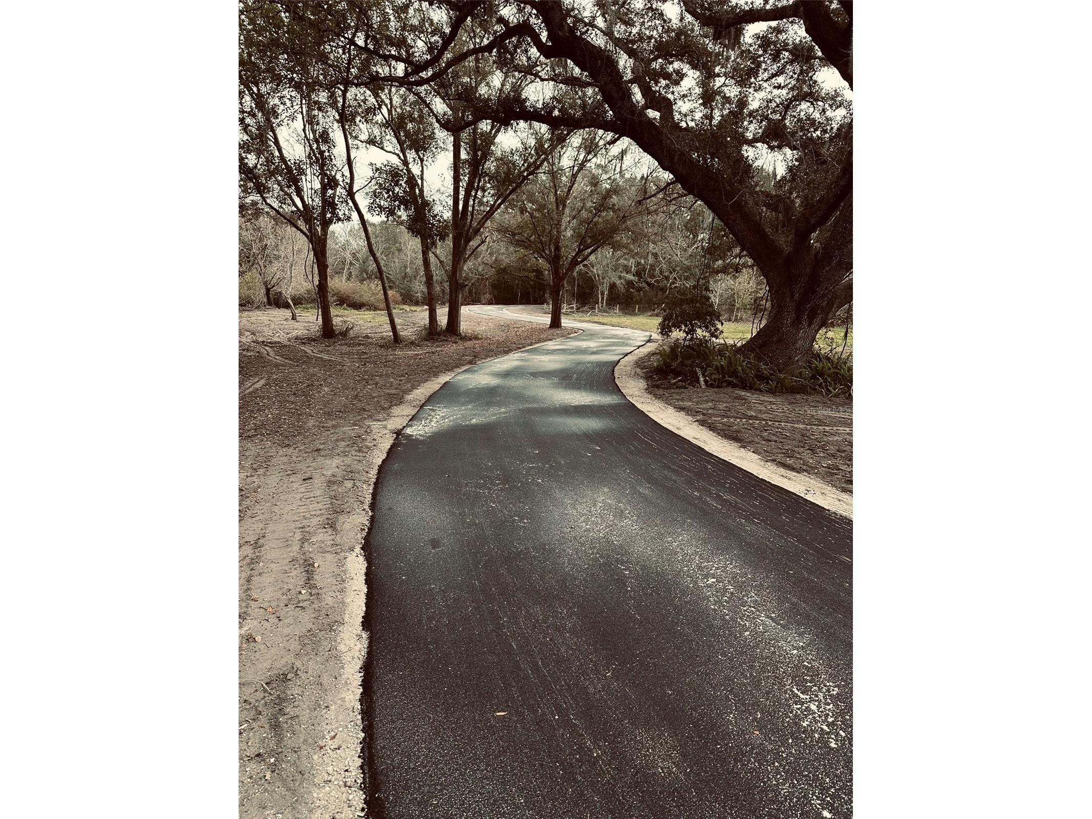 1676 Hermosa Drive Palm Harbor FL 34683 TB8402481 image29