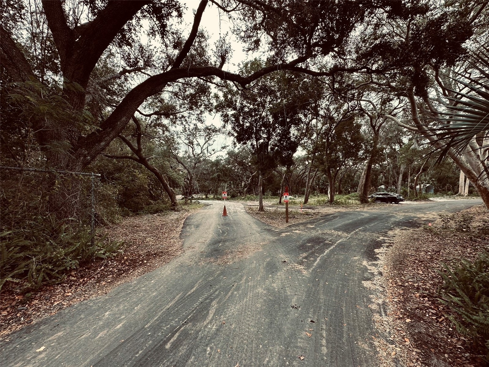 1676 Hermosa Drive Palm Harbor FL 34683 TB8402481 image3