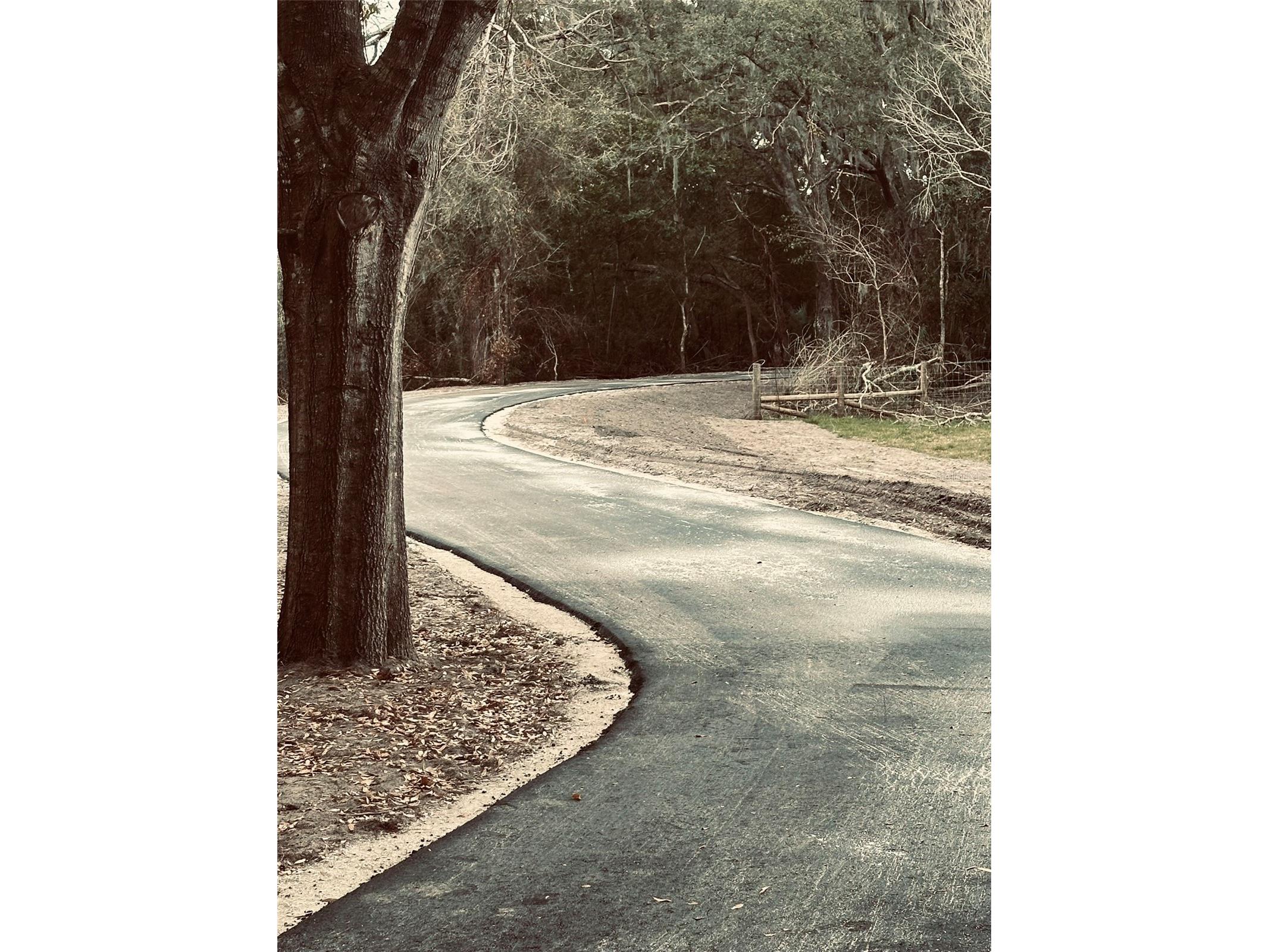 1676 Hermosa Drive Palm Harbor FL 34683 TB8402481 image31