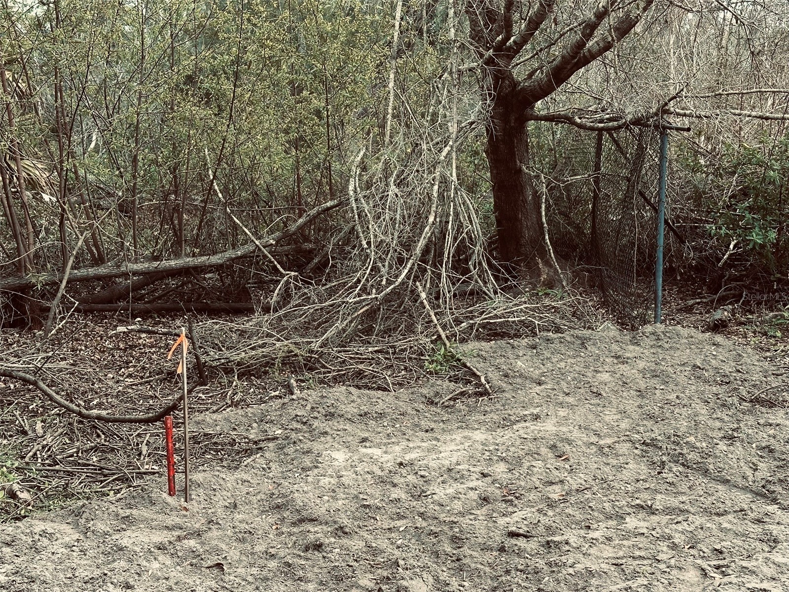 1676 Hermosa Drive Palm Harbor FL 34683 TB8402481 image32