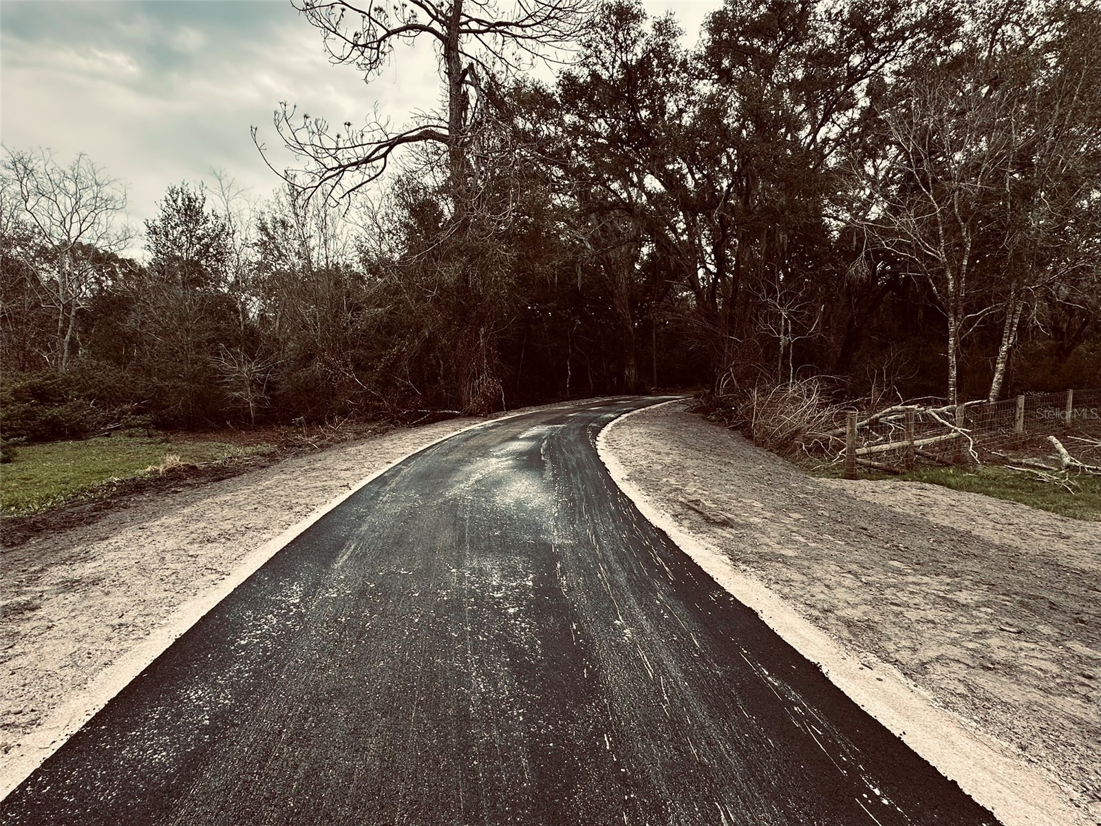 1676 Hermosa Drive Palm Harbor FL 34683 TB8402481 image33