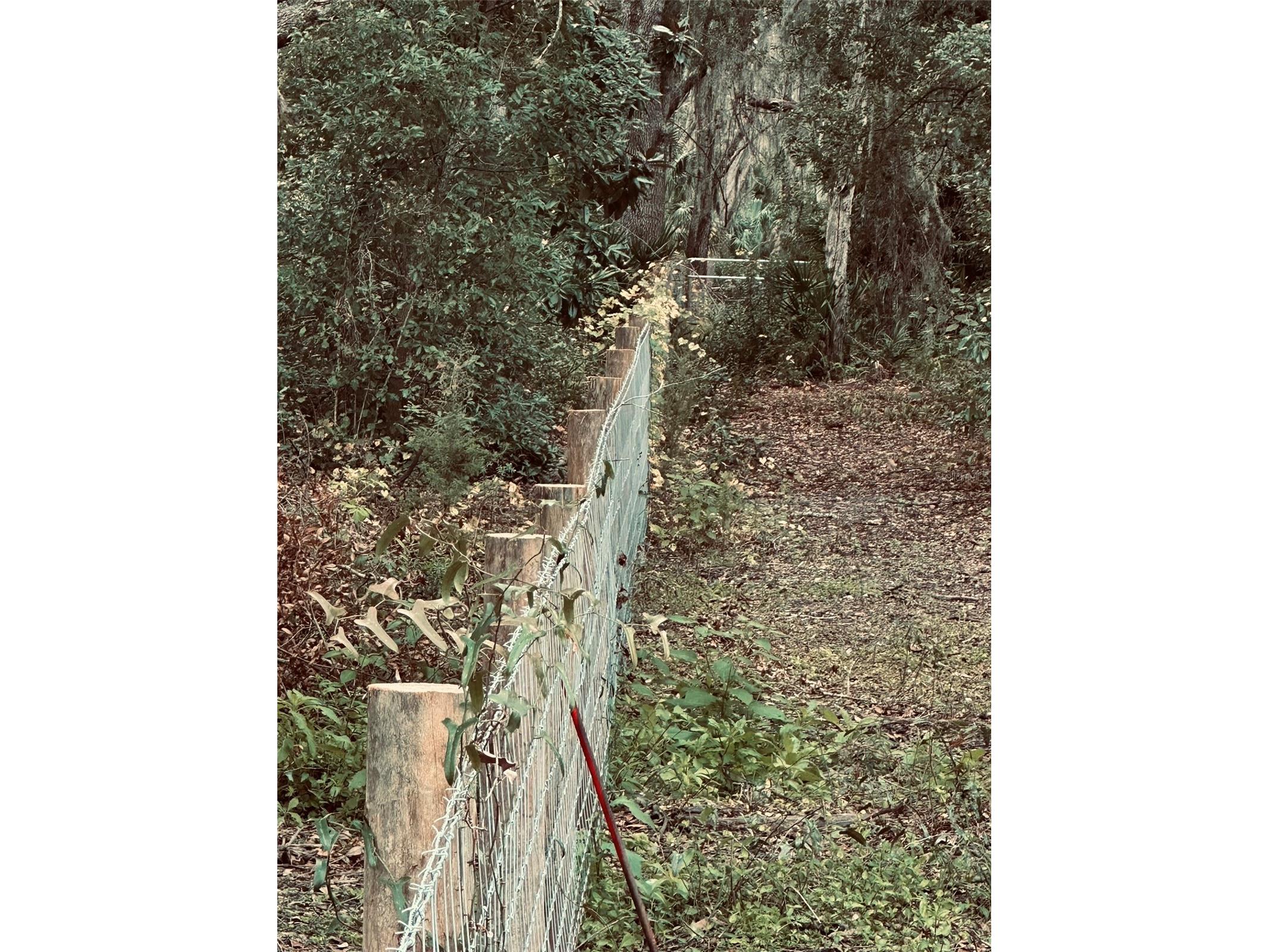 1676 Hermosa Drive Palm Harbor FL 34683 TB8402481 image34