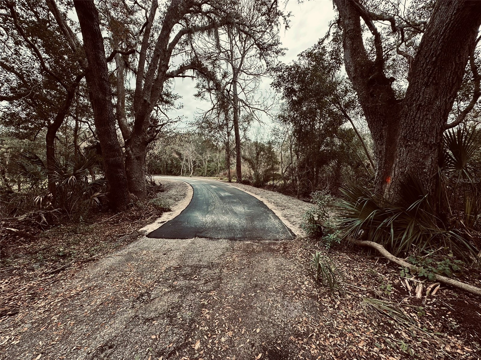 1676 Hermosa Drive Palm Harbor FL 34683 TB8402481 image35