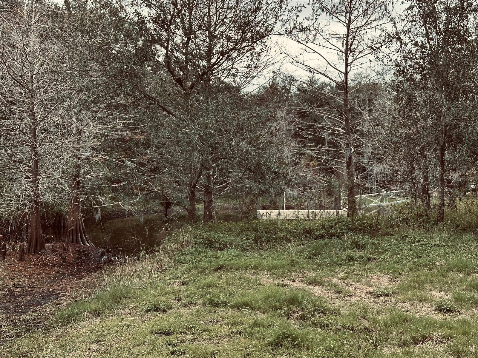 1676 Hermosa Drive Palm Harbor FL 34683 TB8402481 image36