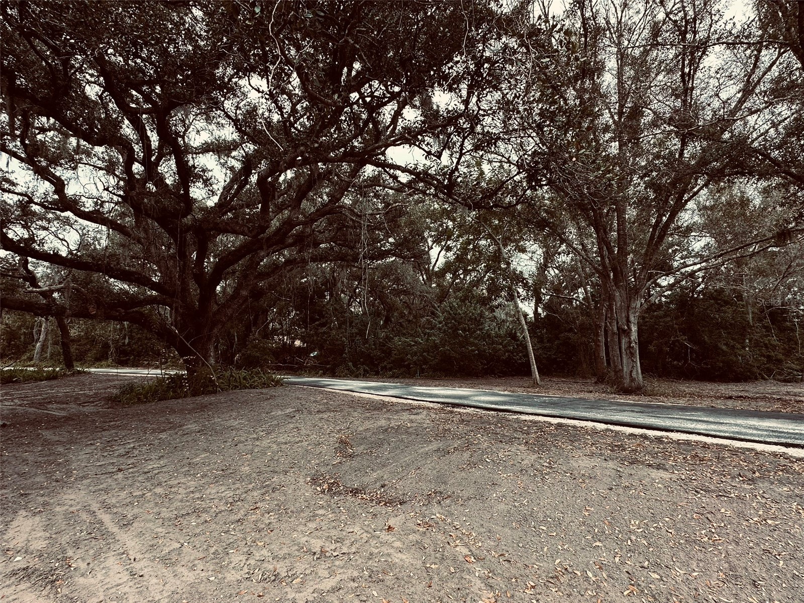 1676 Hermosa Drive Palm Harbor FL 34683 TB8402481 image37