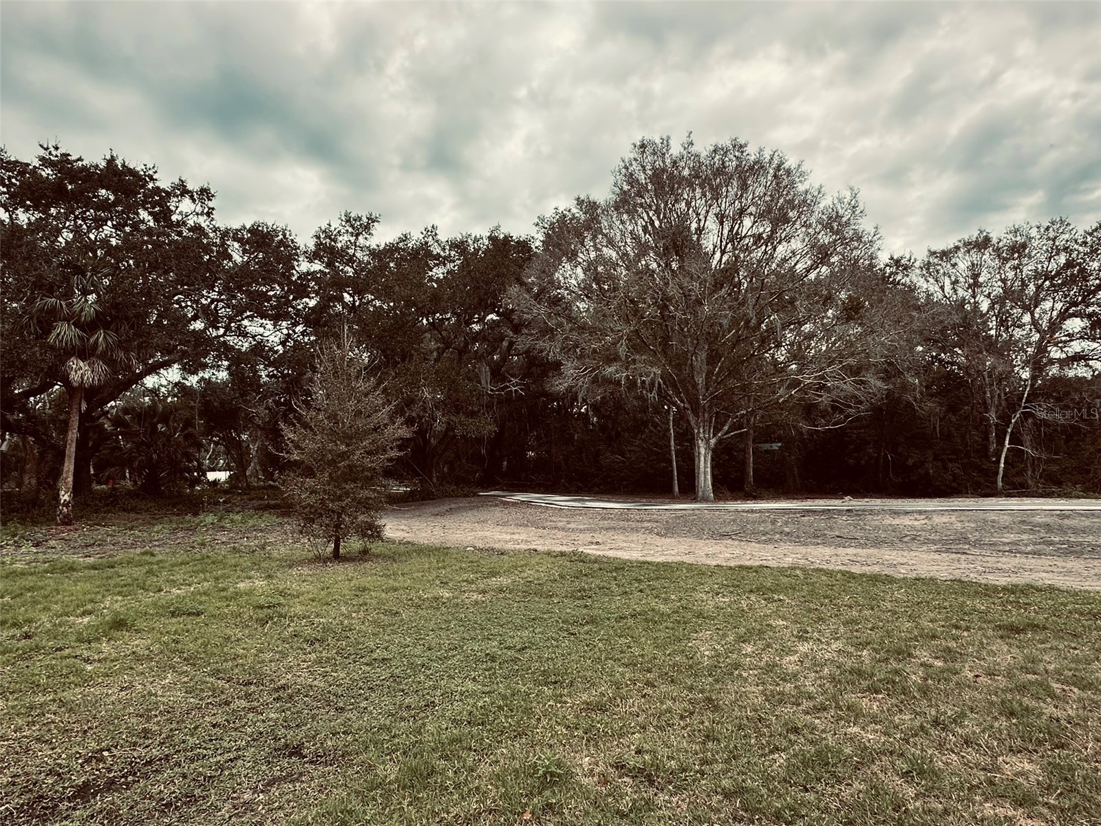 1676 Hermosa Drive Palm Harbor FL 34683 TB8402481 image38