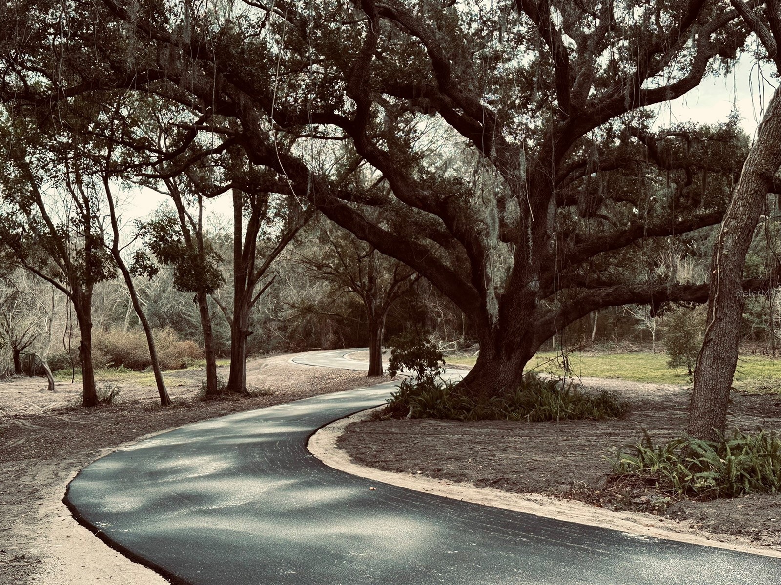 1676 Hermosa Drive Palm Harbor FL 34683 TB8402481 image39