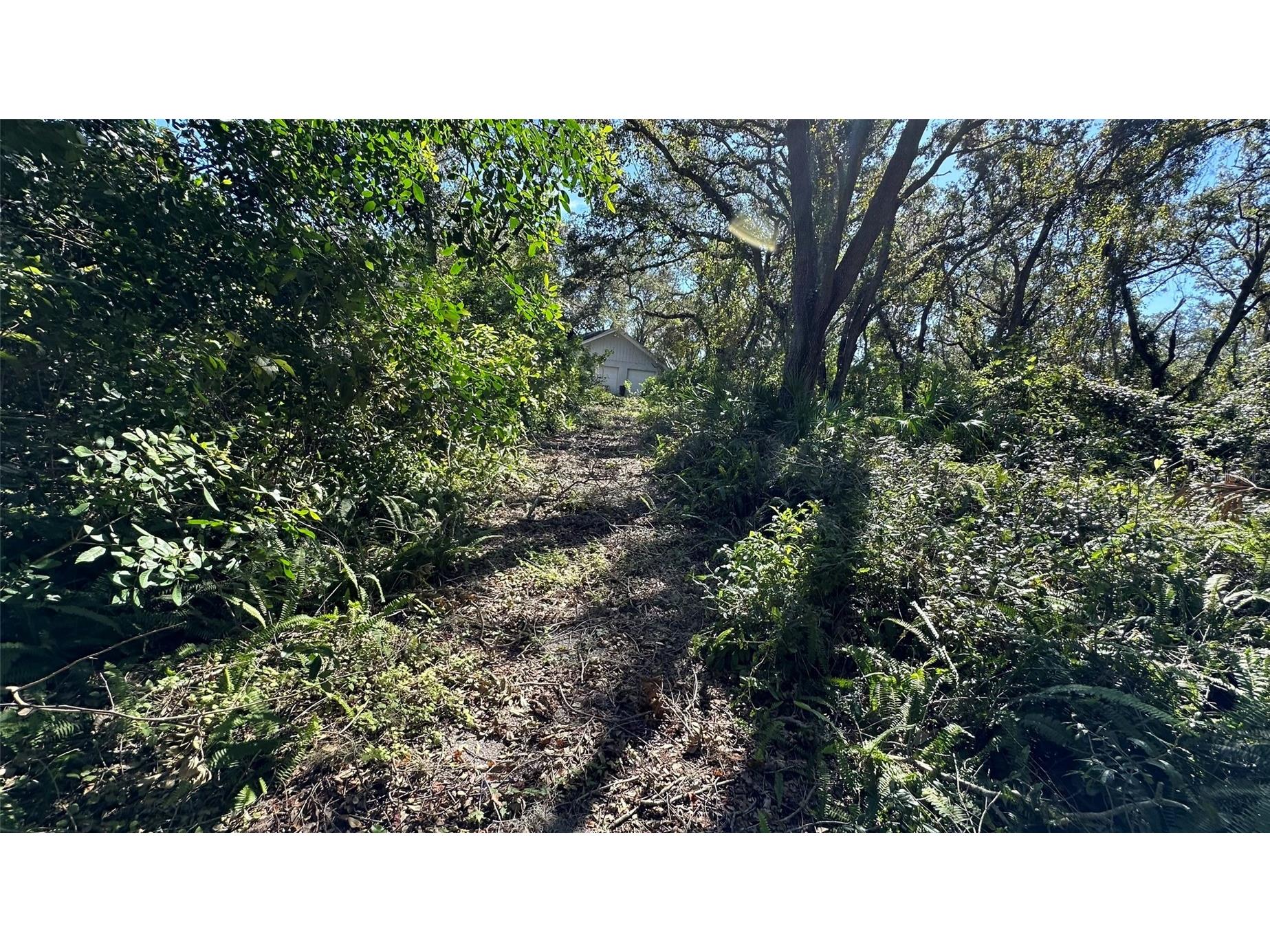 1676 Hermosa Drive Palm Harbor FL 34683 TB8402481 image4