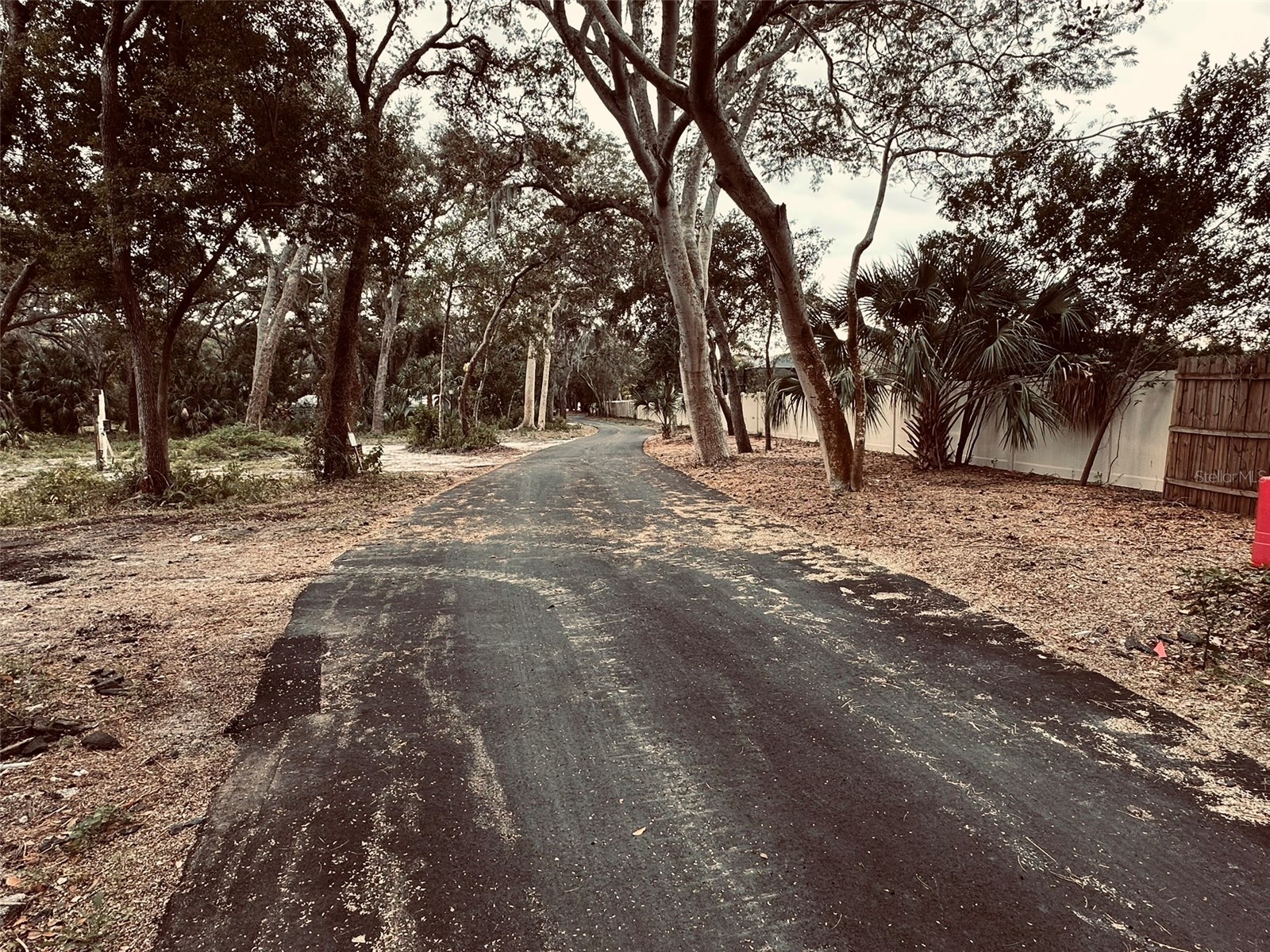 1676 Hermosa Drive Palm Harbor FL 34683 TB8402481 image40