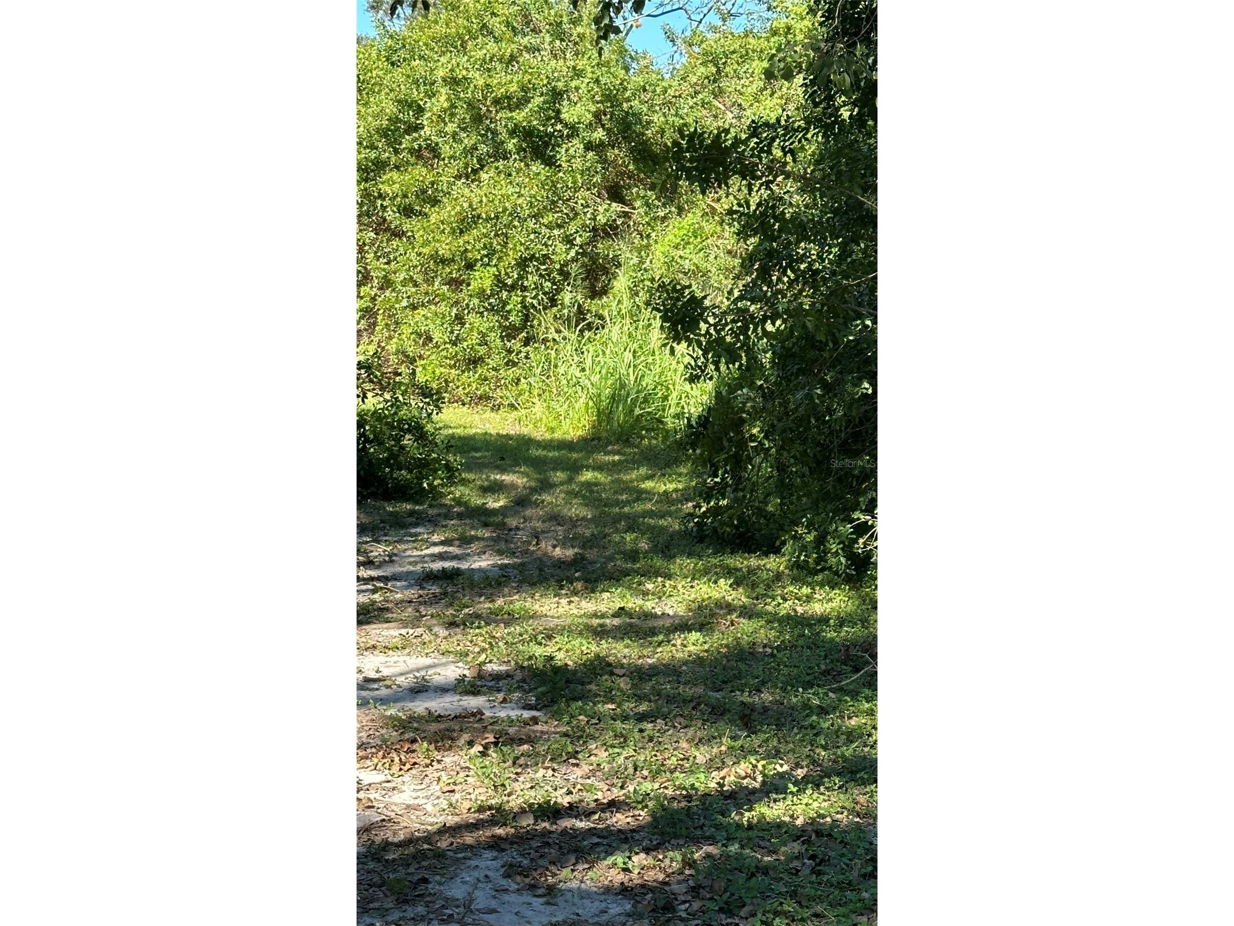 1676 Hermosa Drive Palm Harbor FL 34683 TB8402481 image7