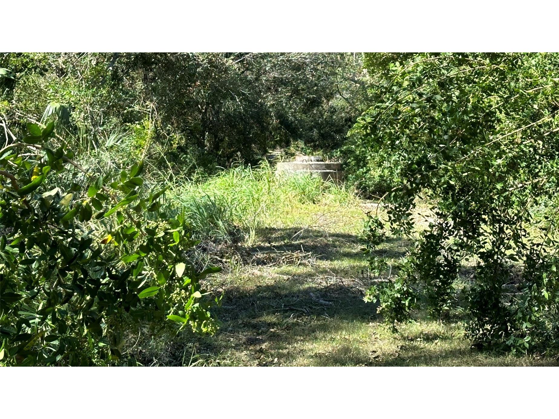 1676 Hermosa Drive Palm Harbor FL 34683 TB8402481 image8