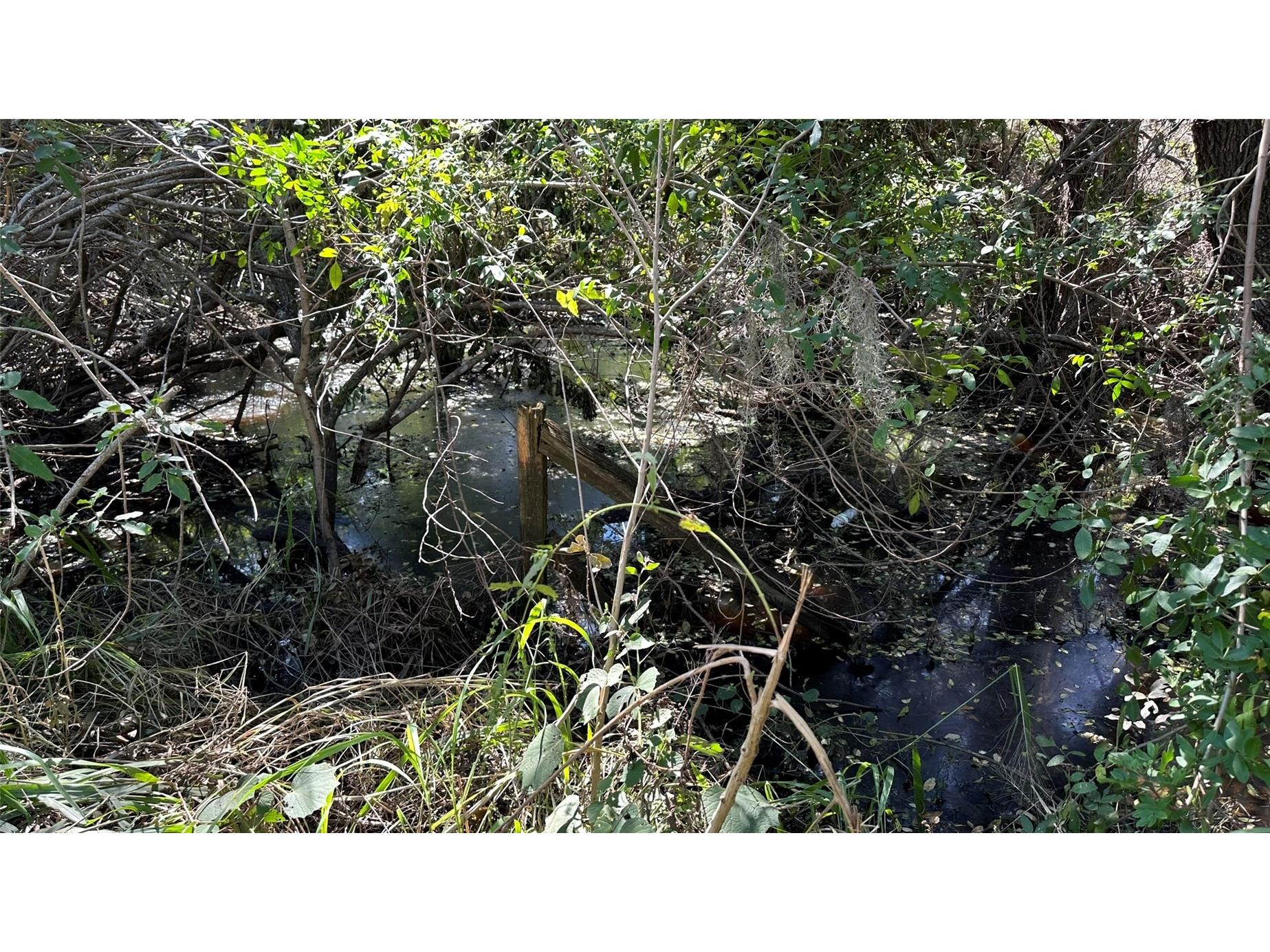 1676 Hermosa Drive Palm Harbor FL 34683 TB8402481 image9