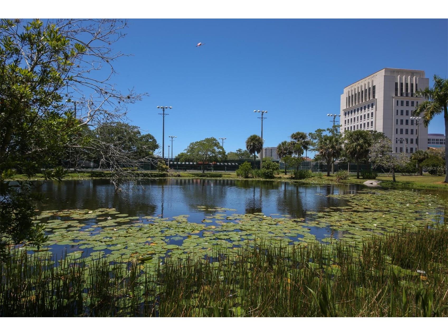 1676 Oak Street Sarasota FL 34236 A4692850 image36
