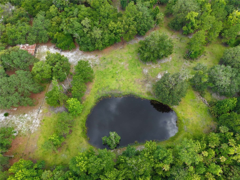 1676 Sunset Trail Geneva FL 32732 V4943256 image1