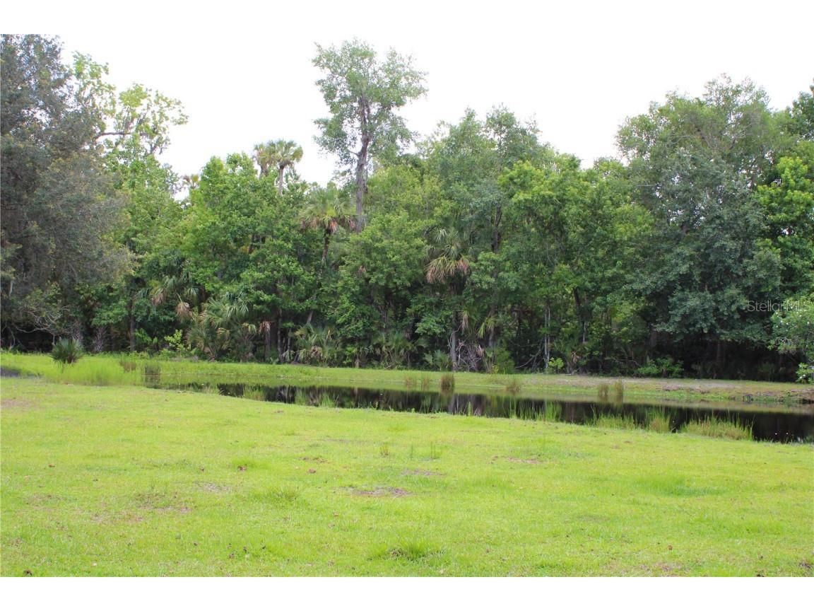 1676 Sunset Trail Geneva FL 32732 V4943256 image18