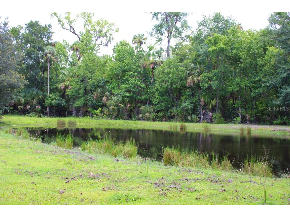 1676 Sunset Trail Geneva FL 32732 V4943256 image19