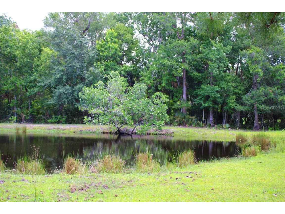 1676 Sunset Trail Geneva FL 32732 V4943256 image20