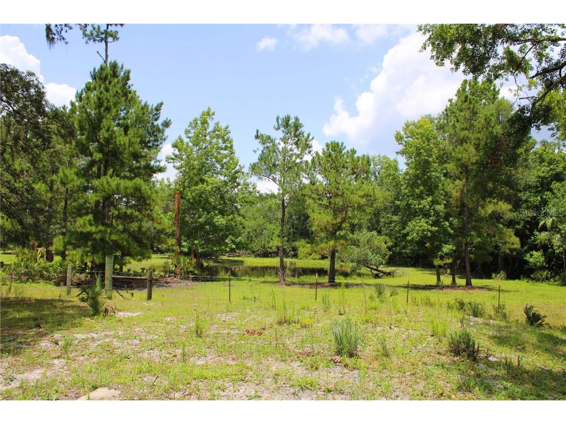 1676 Sunset Trail Geneva FL 32732 V4943256 image3