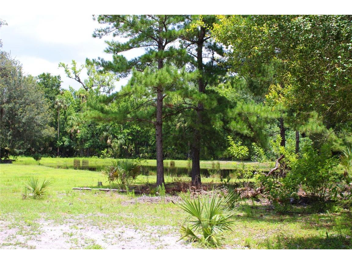 1676 Sunset Trail Geneva FL 32732 V4943256 image4