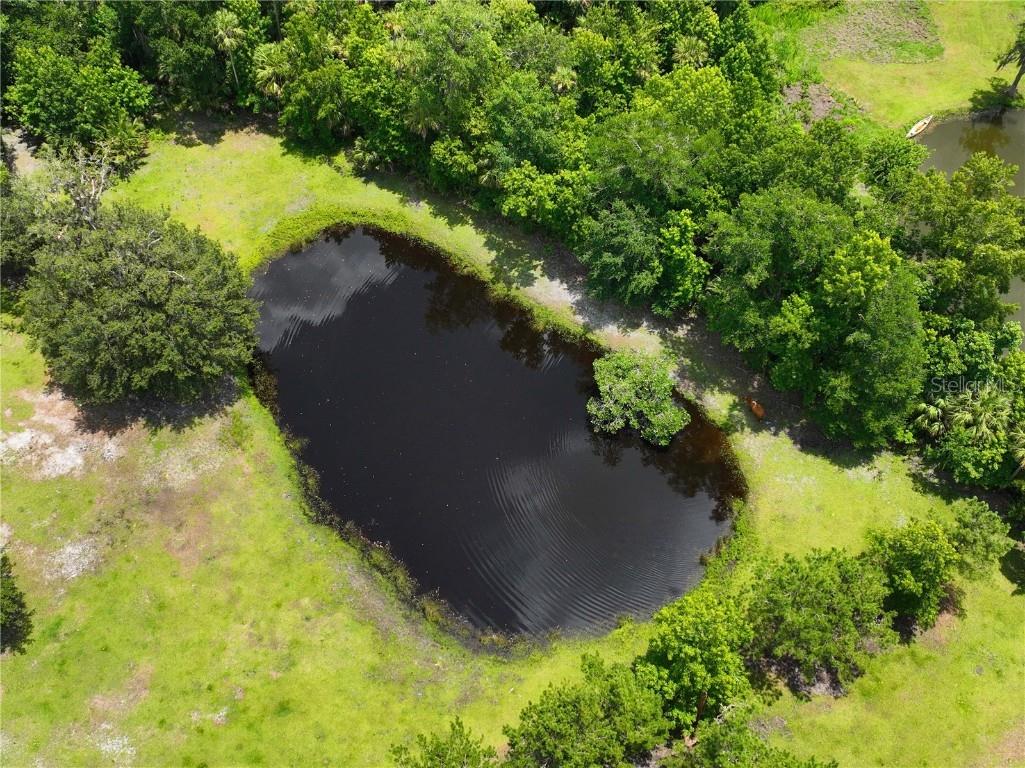 1676 Sunset Trail Geneva FL 32732 V4943256 image5