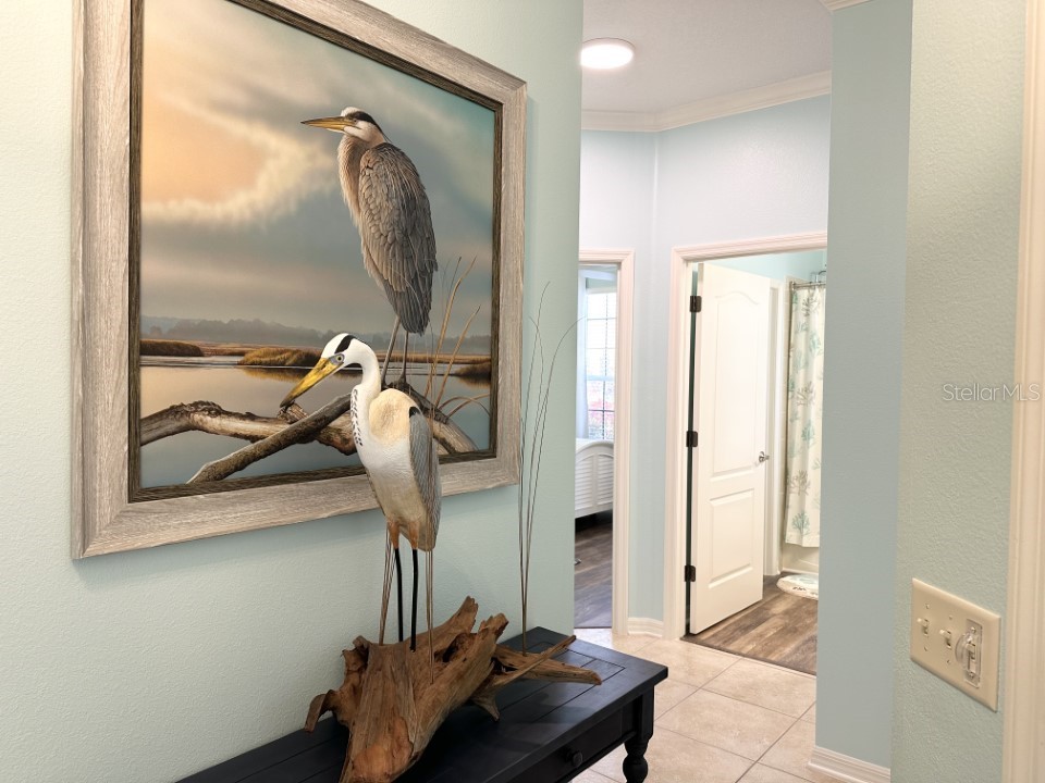 1676 Van Buren Way The Villages FL 32162 G5097759 image3