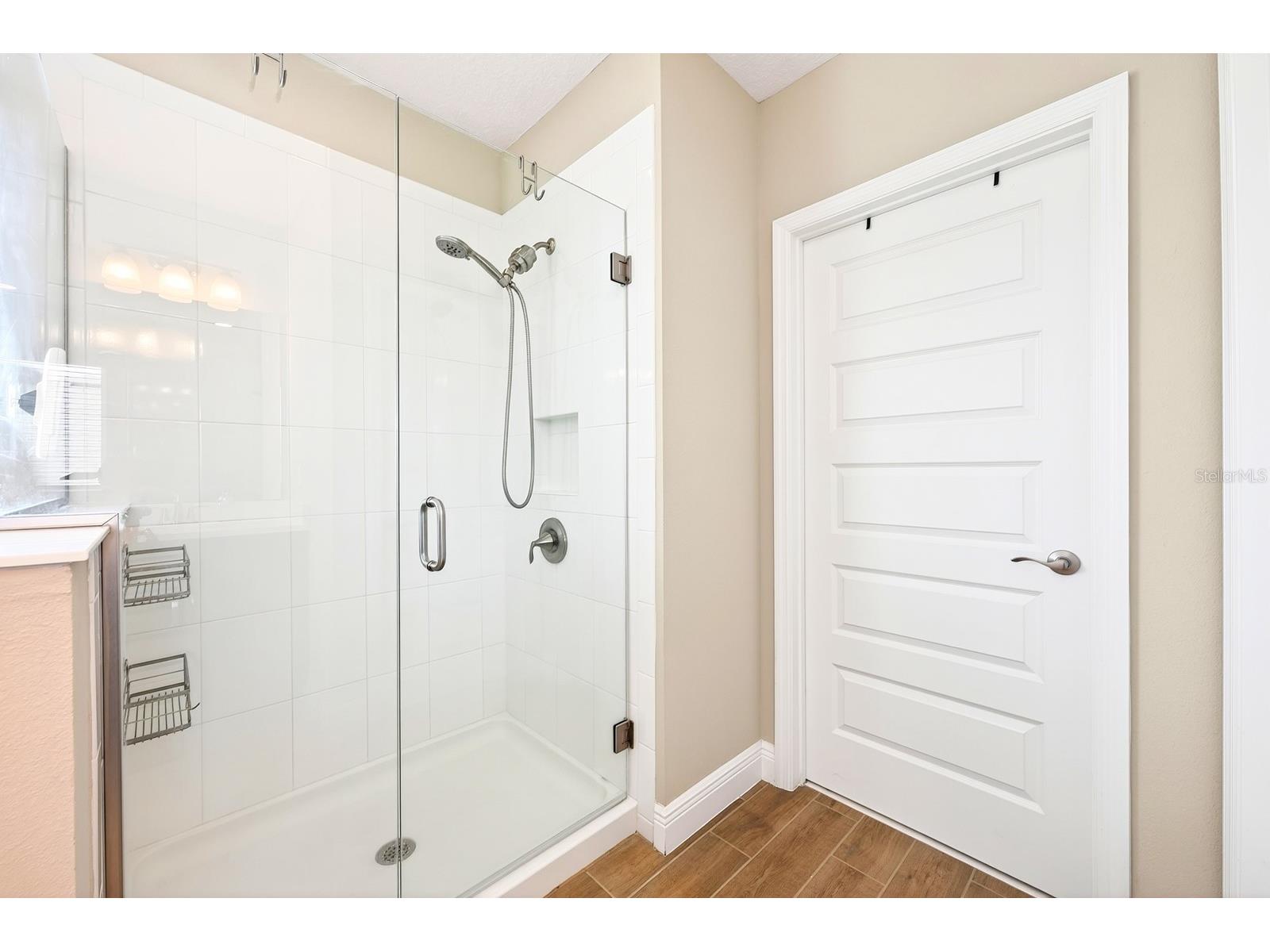 16760 Harper Cove Drive Winter Garden FL 34787 O6403109 image22