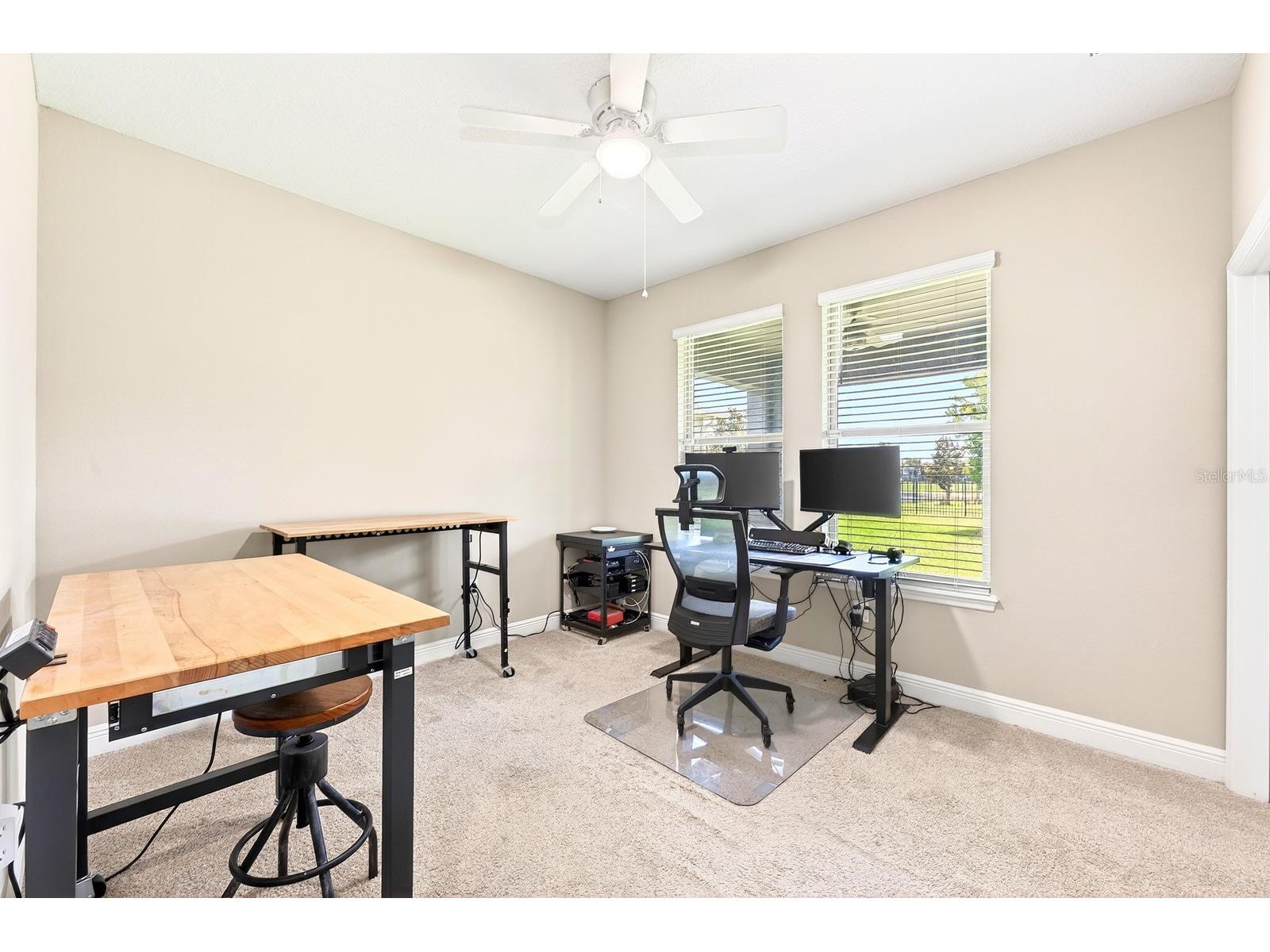 16760 Harper Cove Drive Winter Garden FL 34787 O6403109 image27