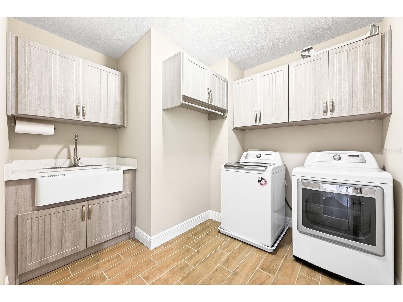 16760 Harper Cove Drive Winter Garden FL 34787 O6403109 image29