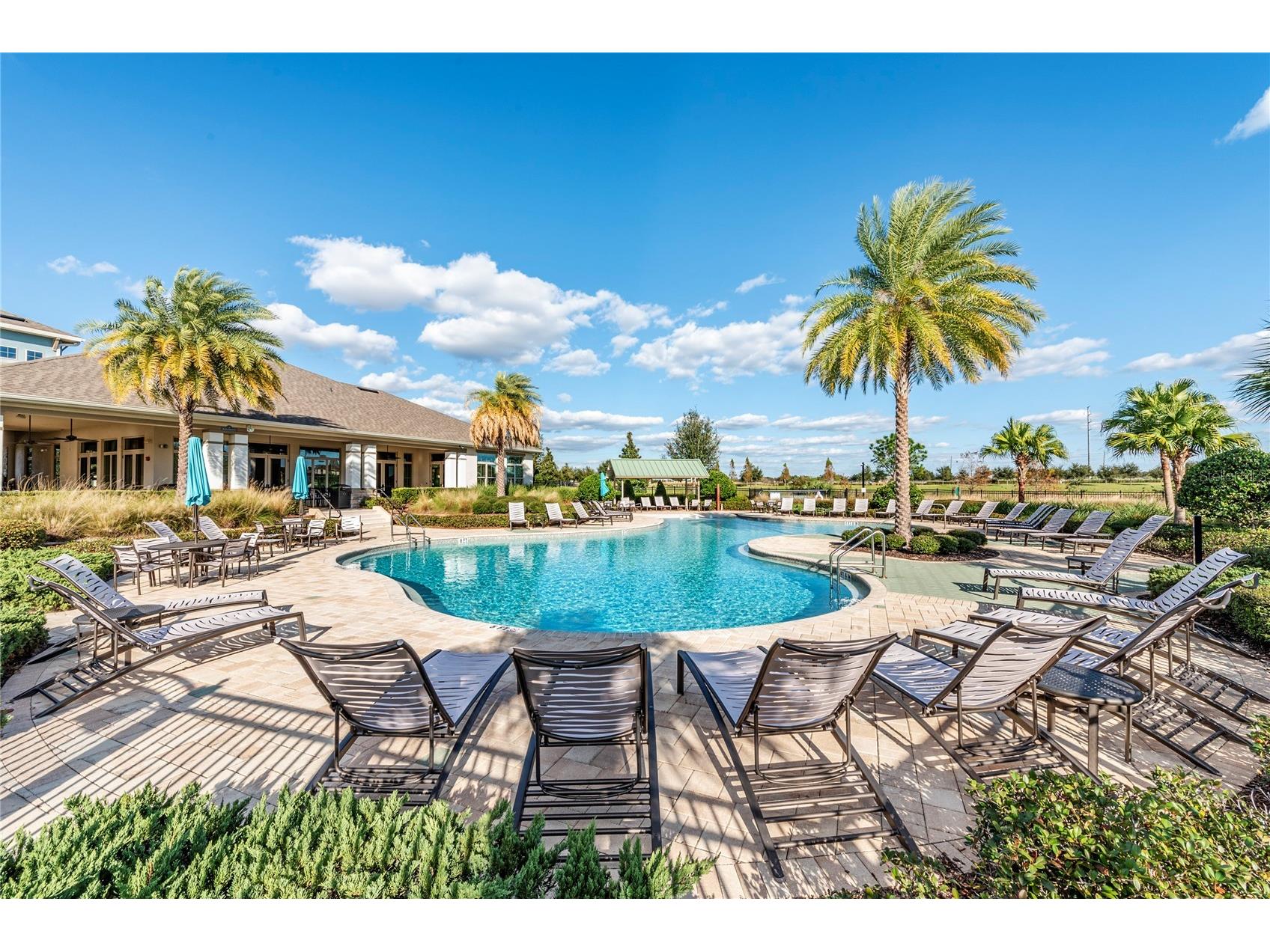 16760 Harper Cove Drive Winter Garden FL 34787 O6403109 image38