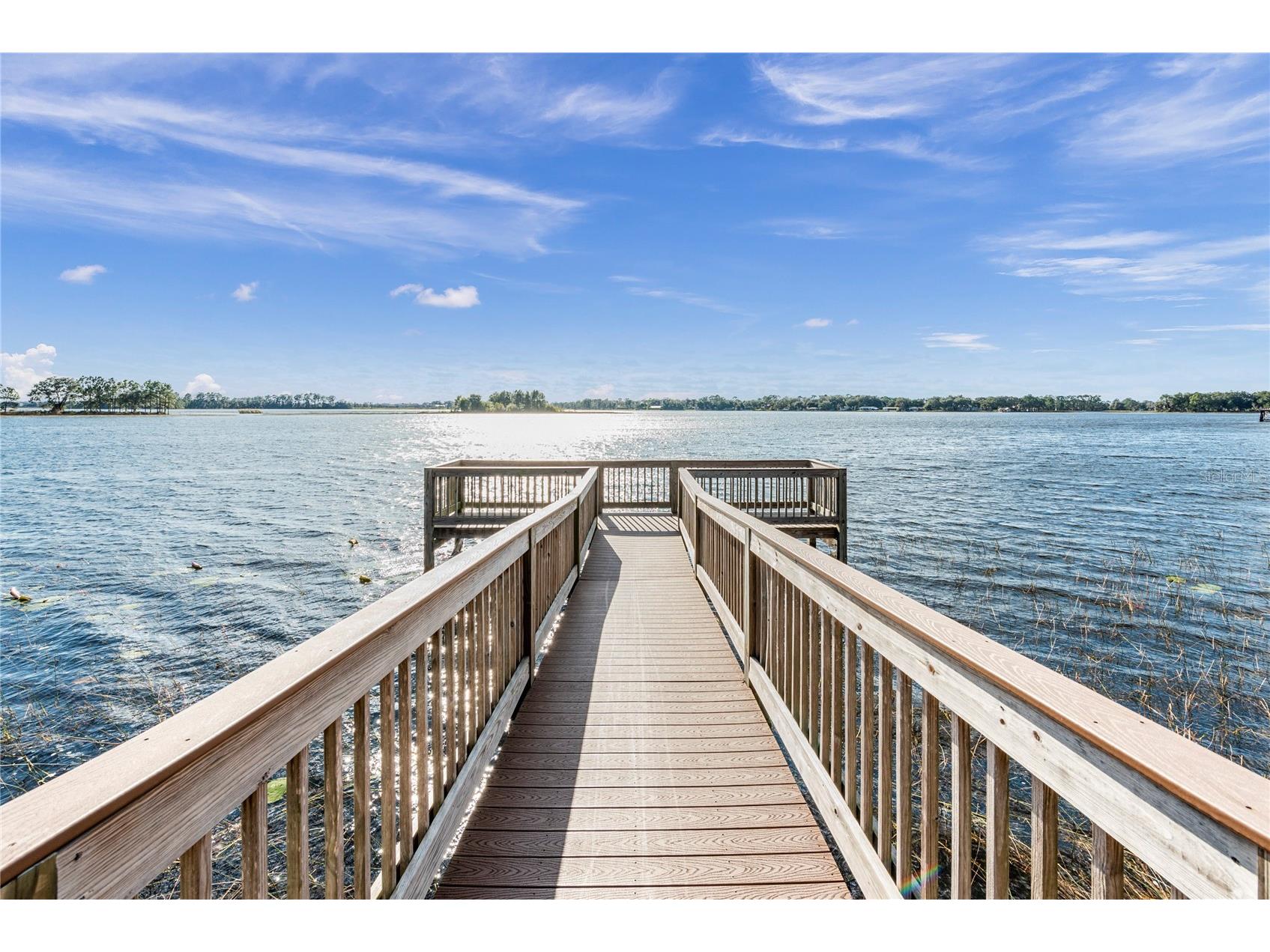 16760 Harper Cove Drive Winter Garden FL 34787 O6403109 image44