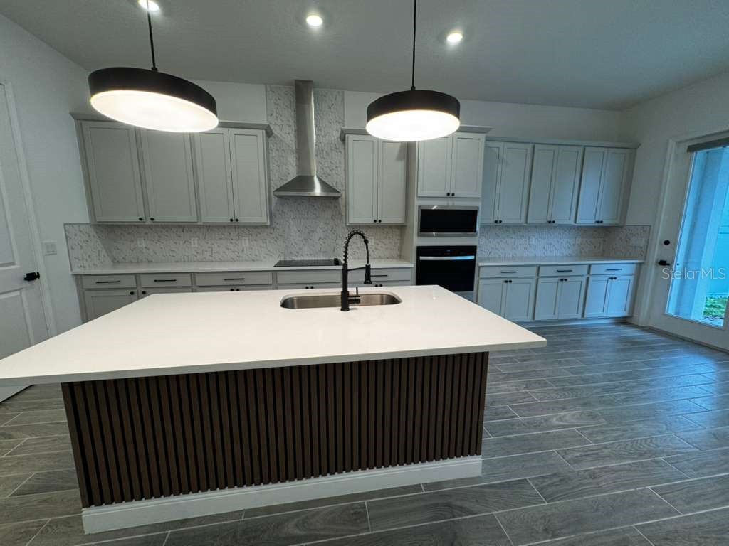 16763 Hamlin Vista Alley Winter Garden FL 34787 O6354681 image10